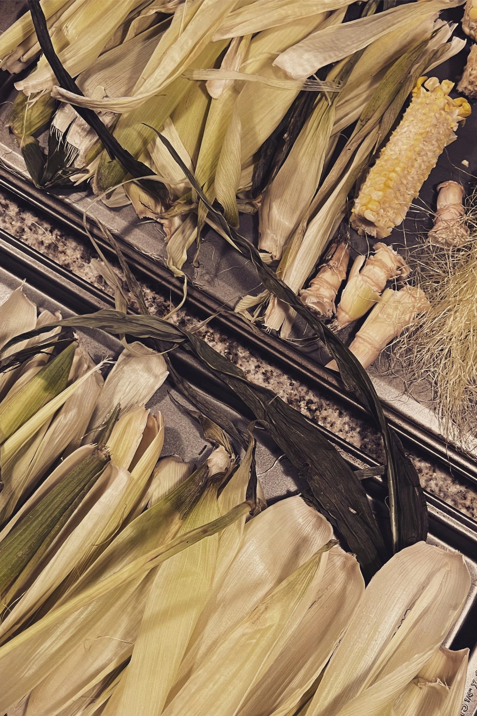 An Obsession With Corn