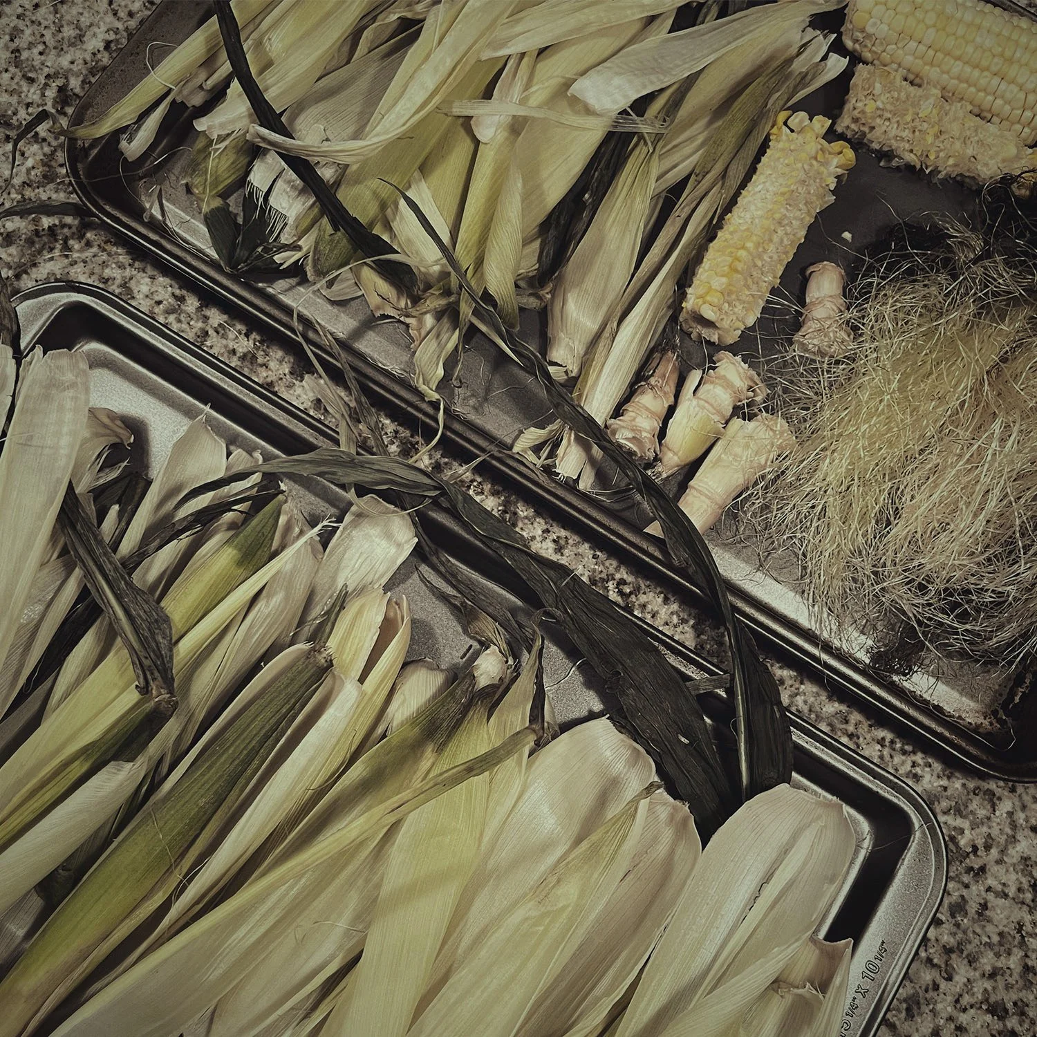 An Obsession With Corn