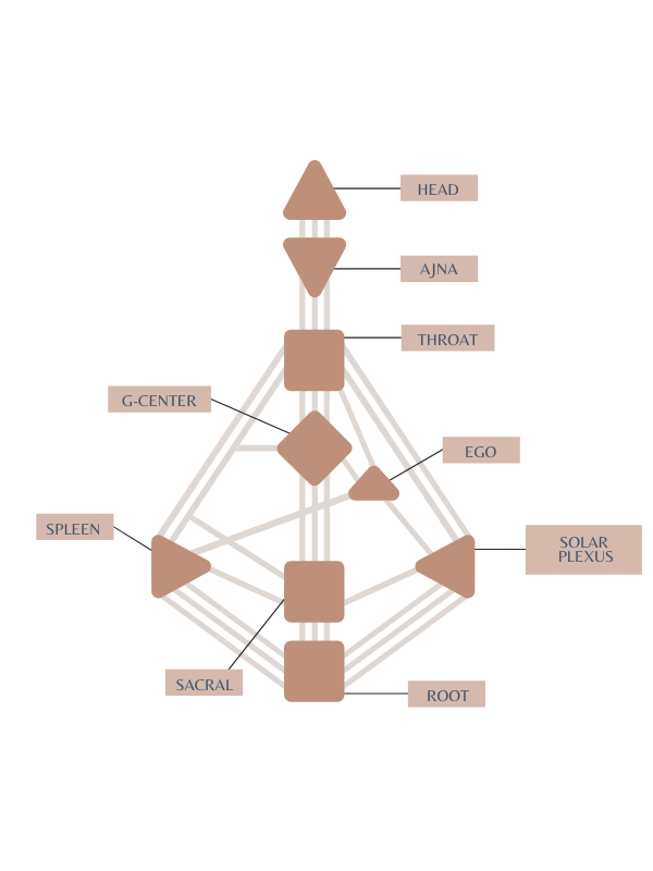 DECODED - Digital Human Design Reading — Embody Your Energy