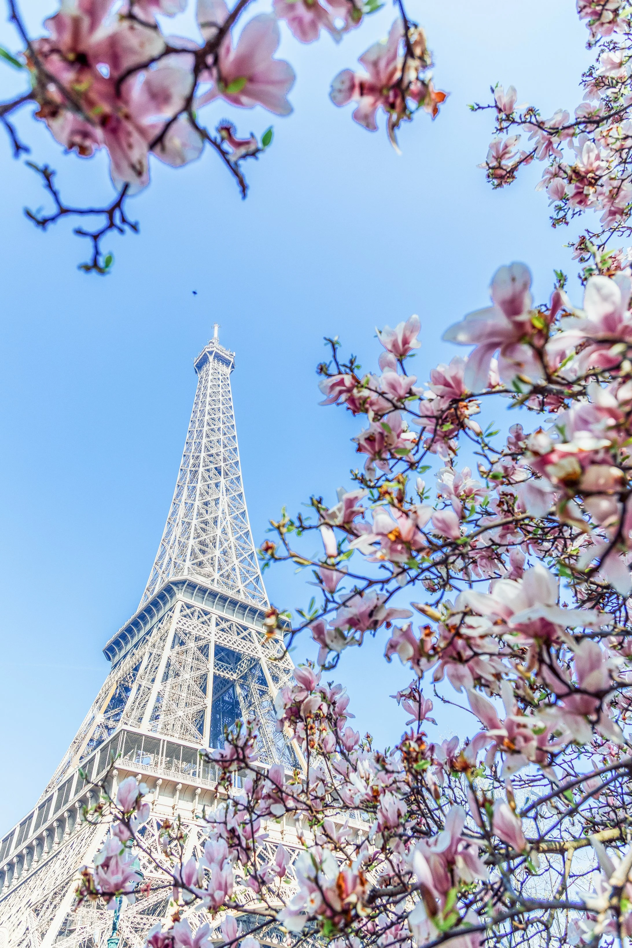 Katie Sprague Photography_Prints--9.jpg