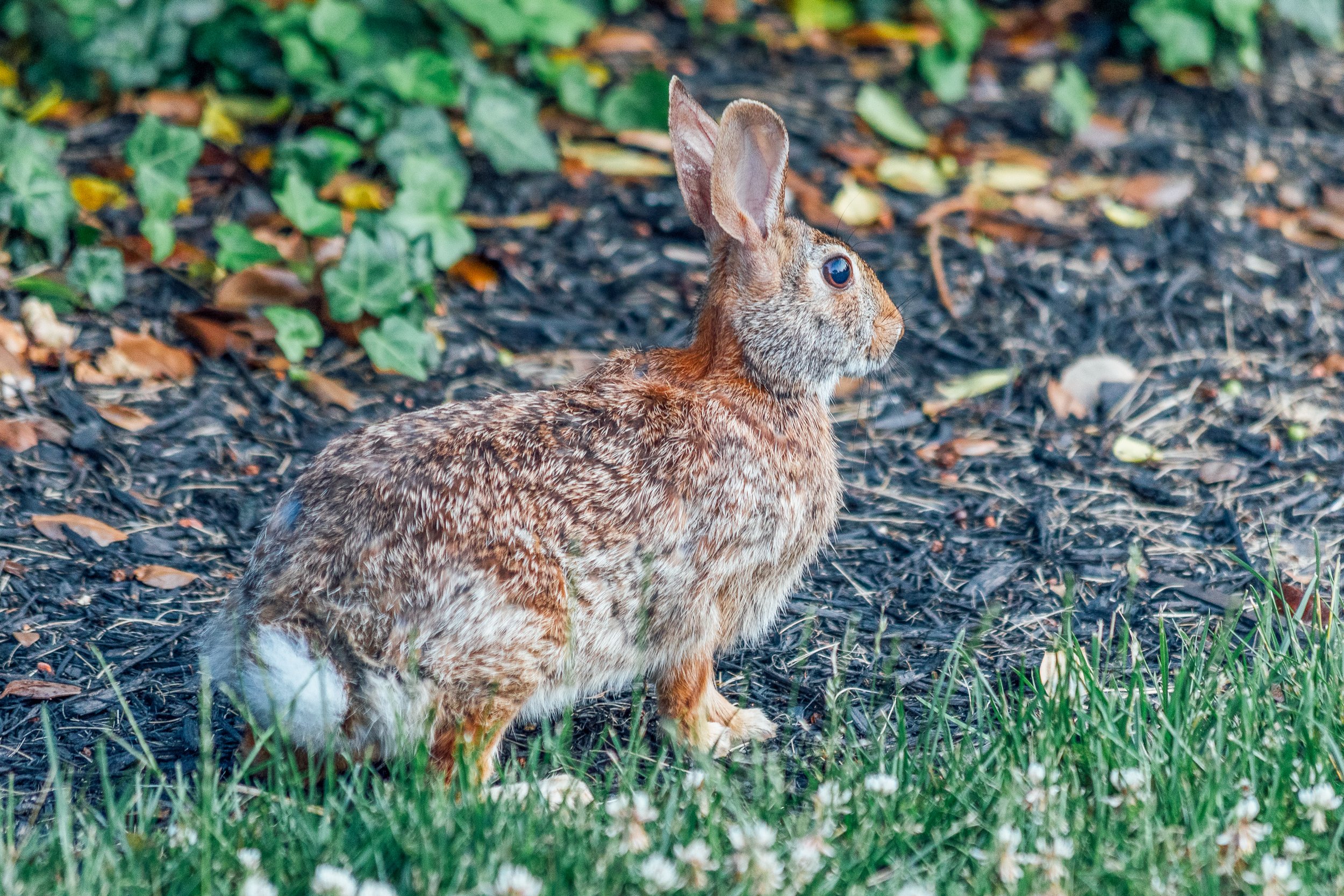 Katie Sprague Photography_Prints--12.jpg