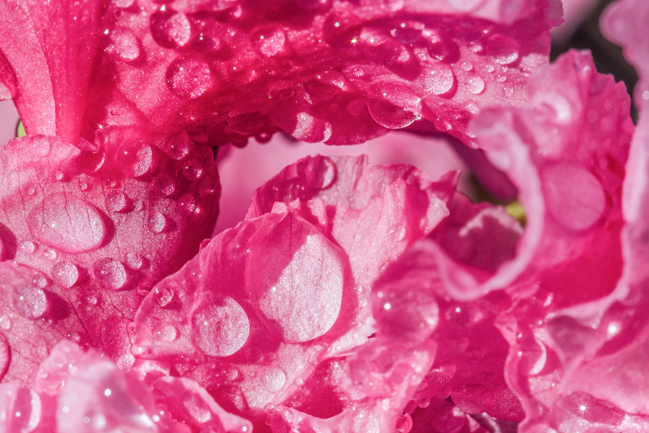 Katie Sprague Photography_Prints-136.jpg