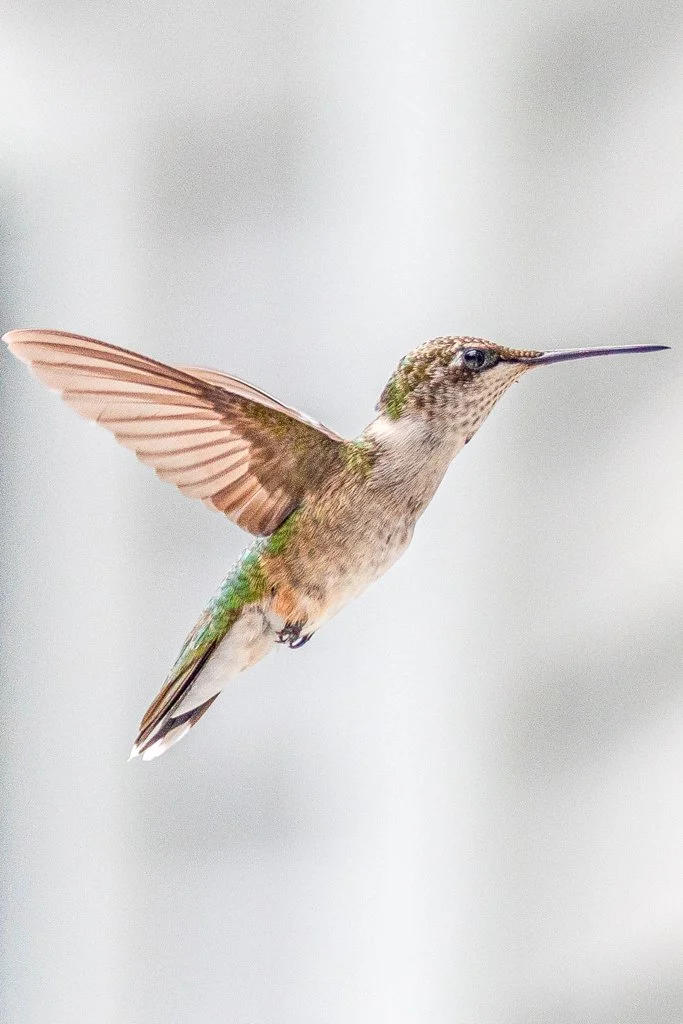 Katie Sprague Photography_Prints-1281.jpg