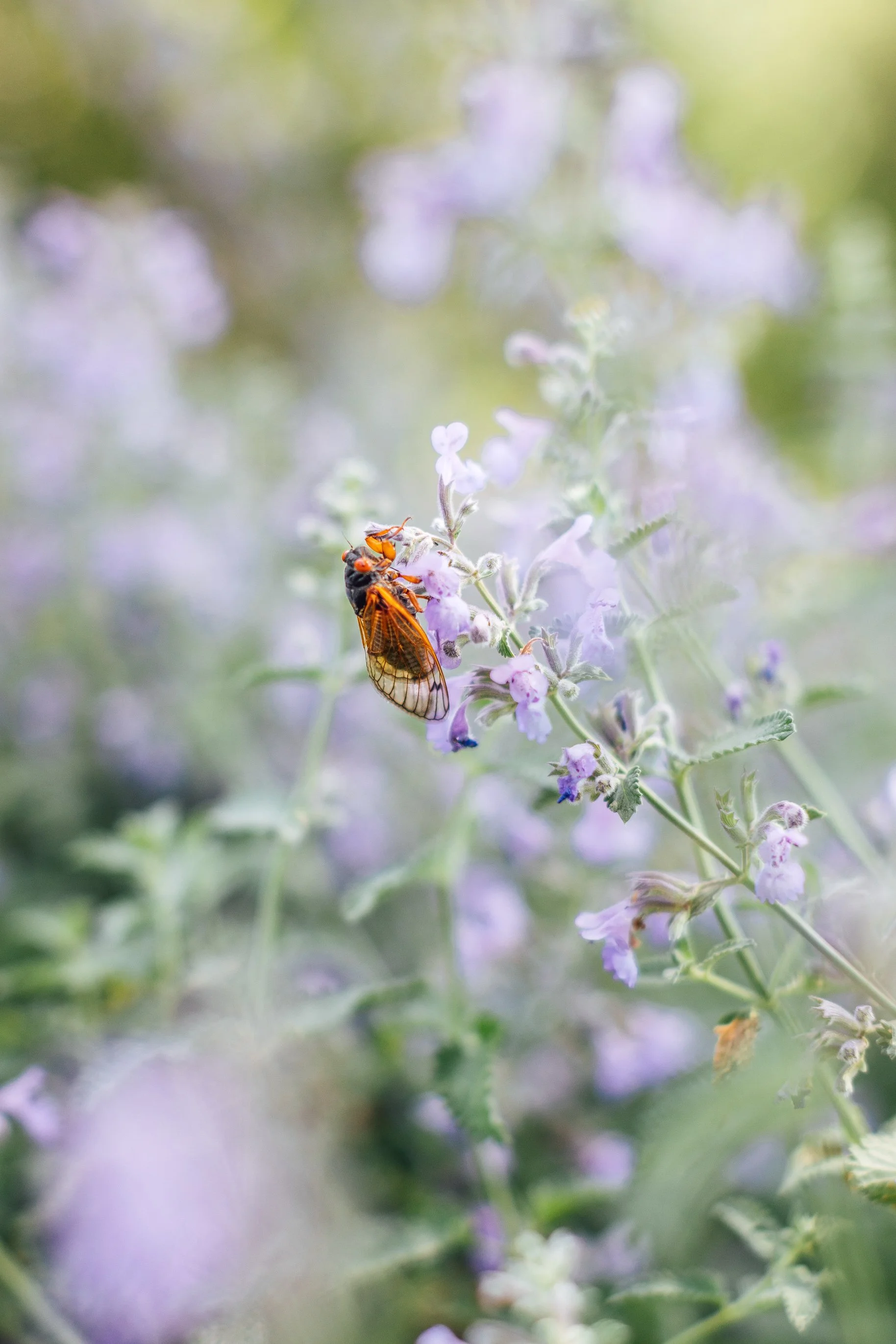 Katie Sprague Photography_Prints-2462.jpg