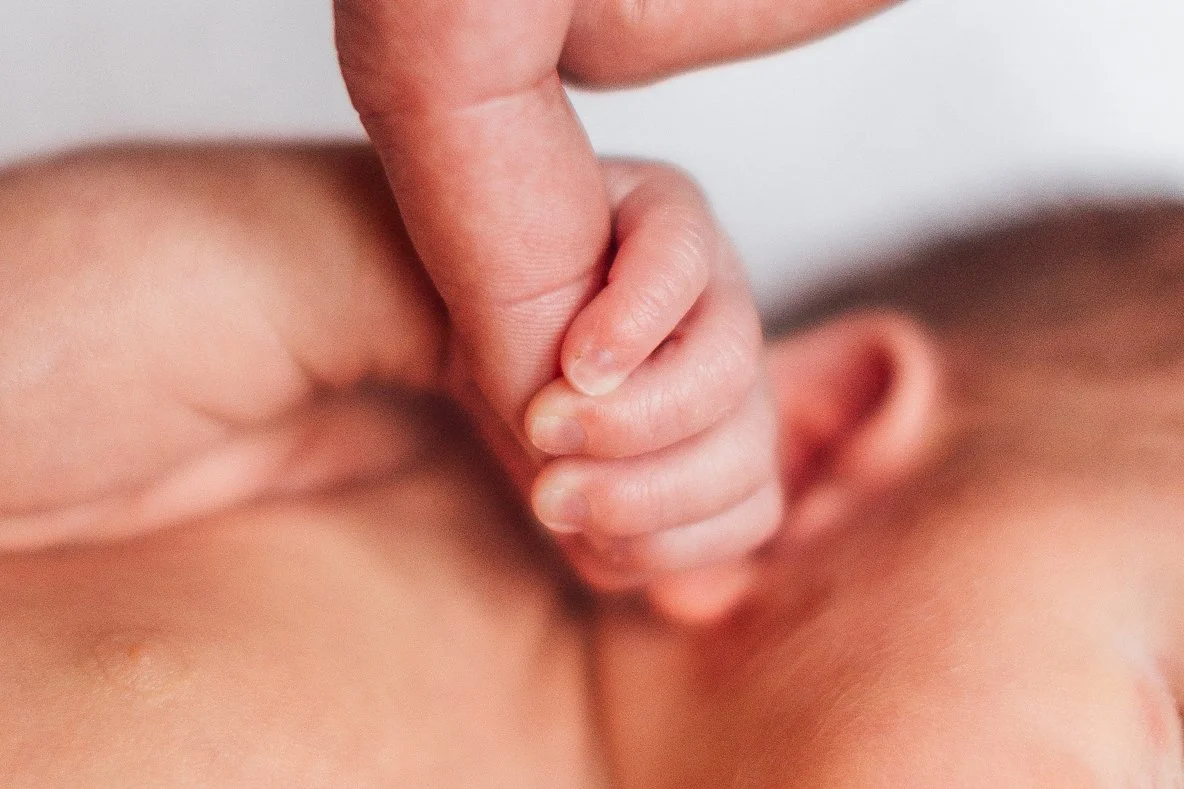 Family Photos_Katie Sprague Photography-9793.jpg