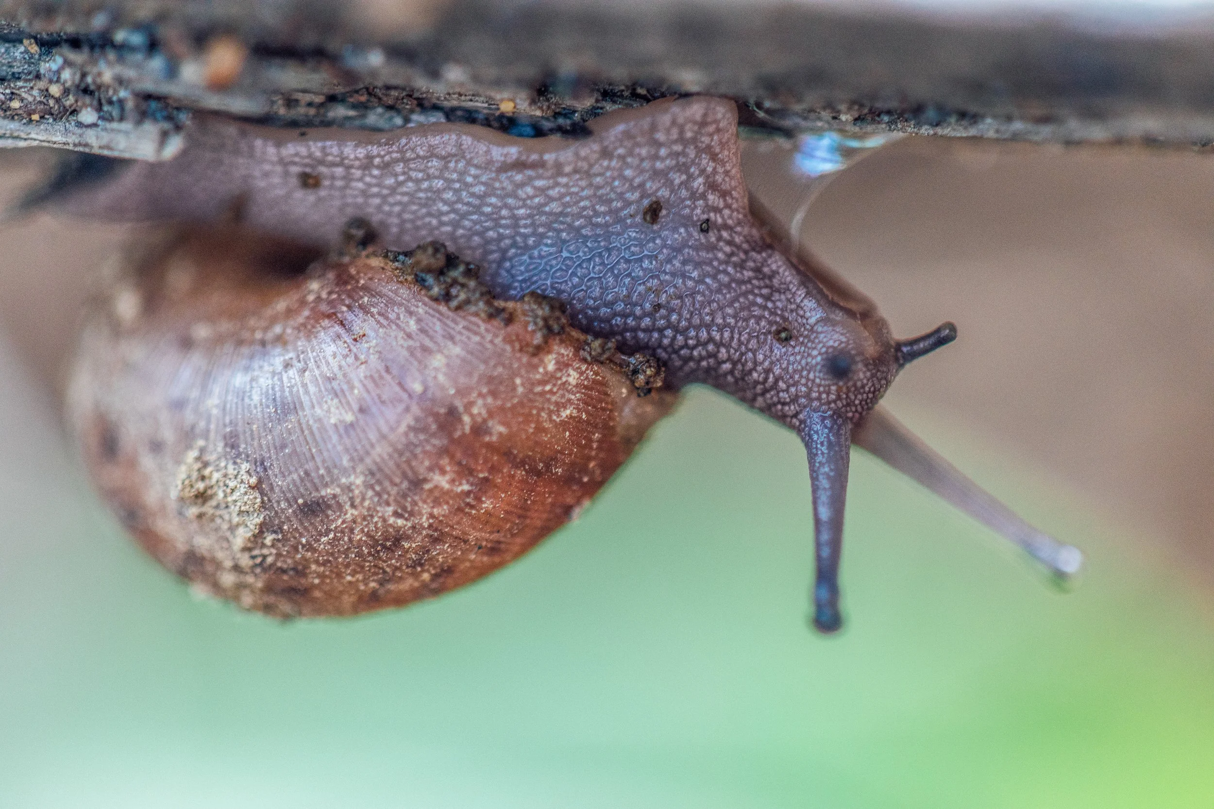 Katie Sprague Photography_Prints-041-2.jpg