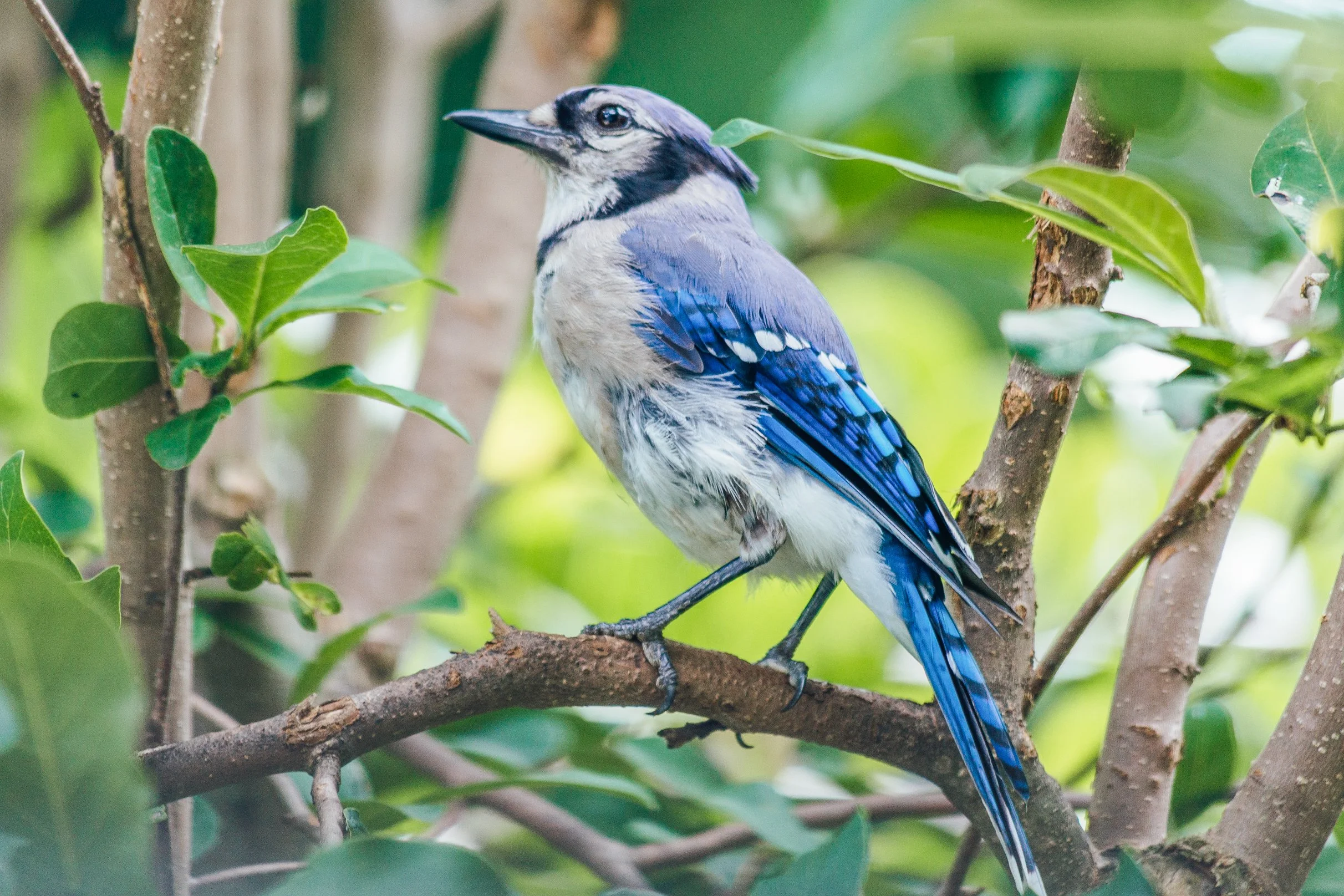 Katie Sprague Photography_Prints--5.jpg