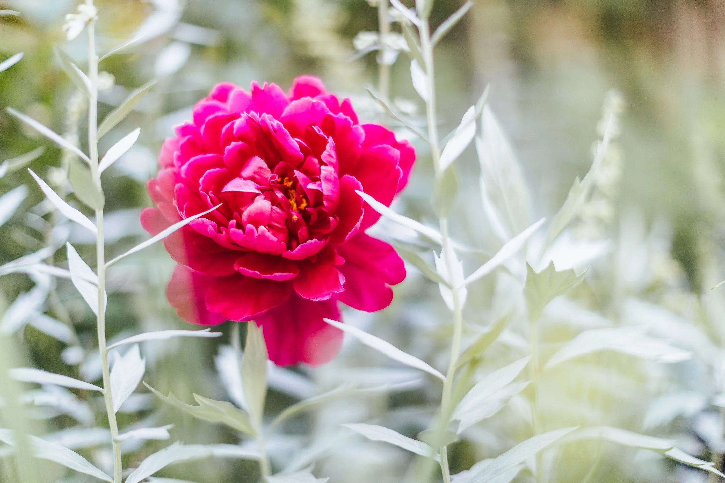 Katie Sprague Photography_Prints-9923.jpg