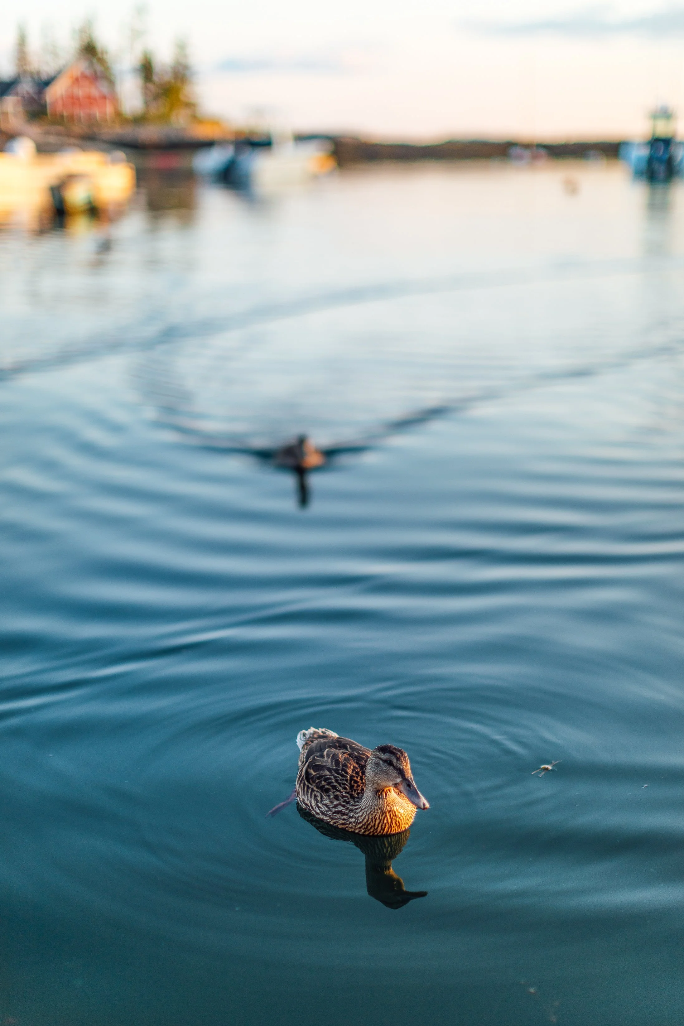 Katie Sprague Photography_Prints-038.jpg