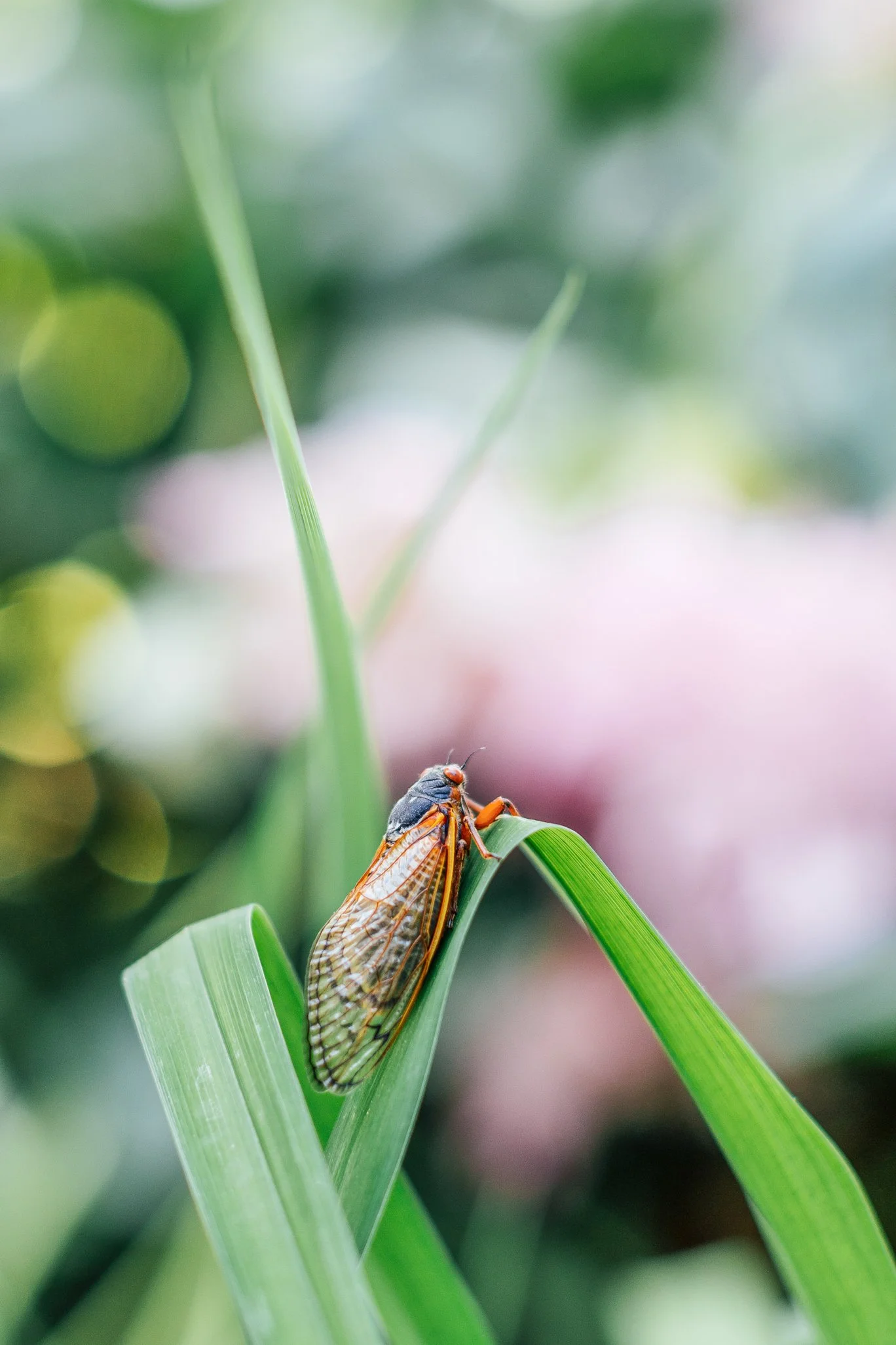 Katie Sprague Photography_Prints-2517.jpg