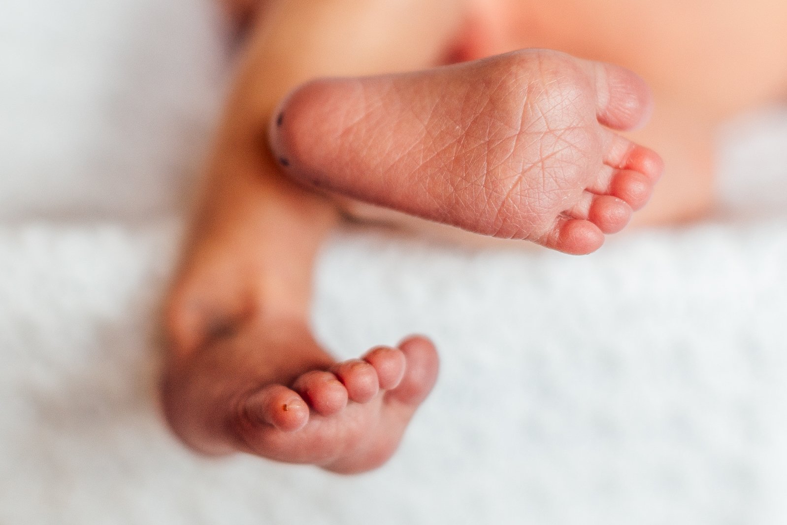 Family Photos_Katie Sprague Photography-9824.jpg