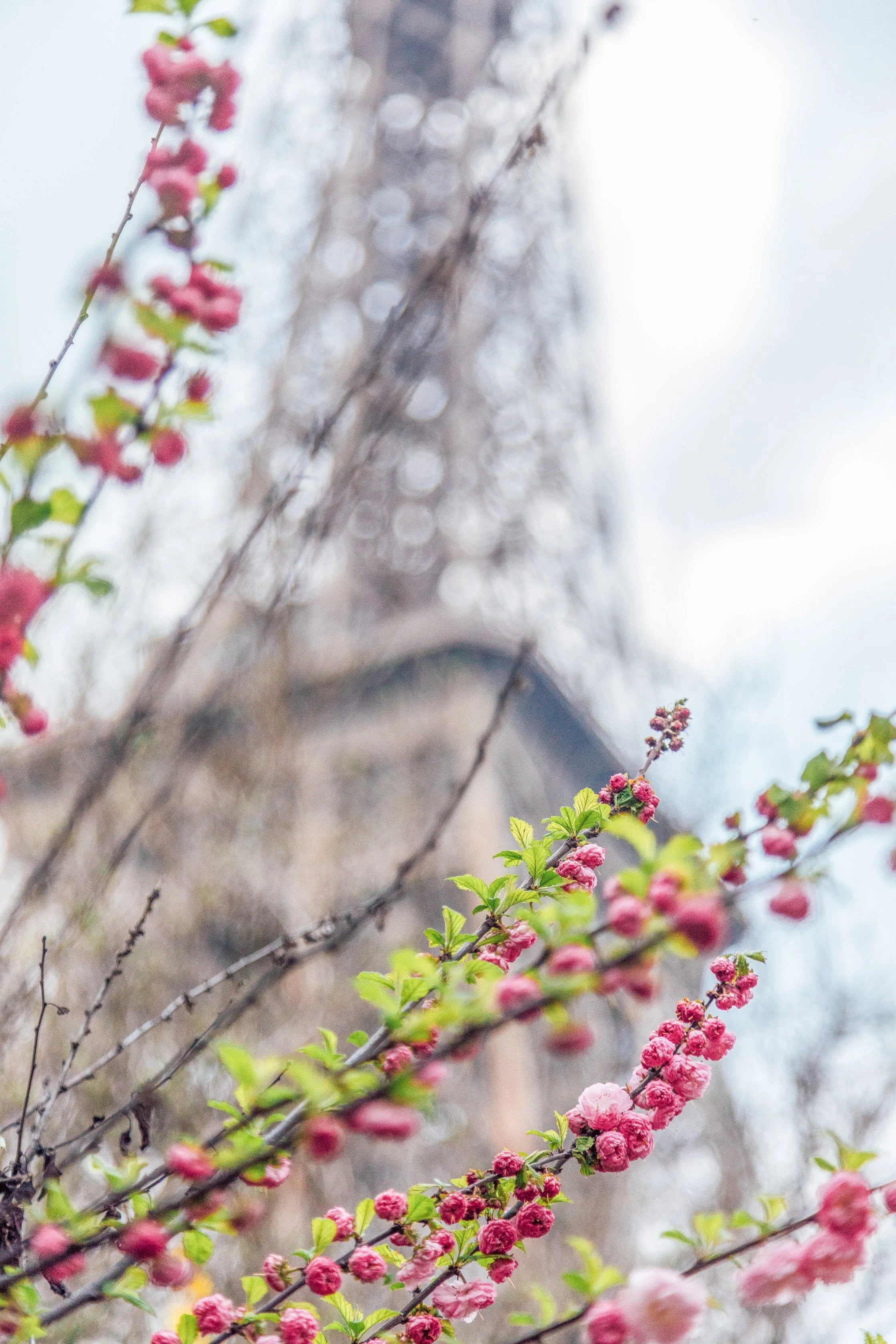 Katie Sprague Photography_Prints-474.jpg