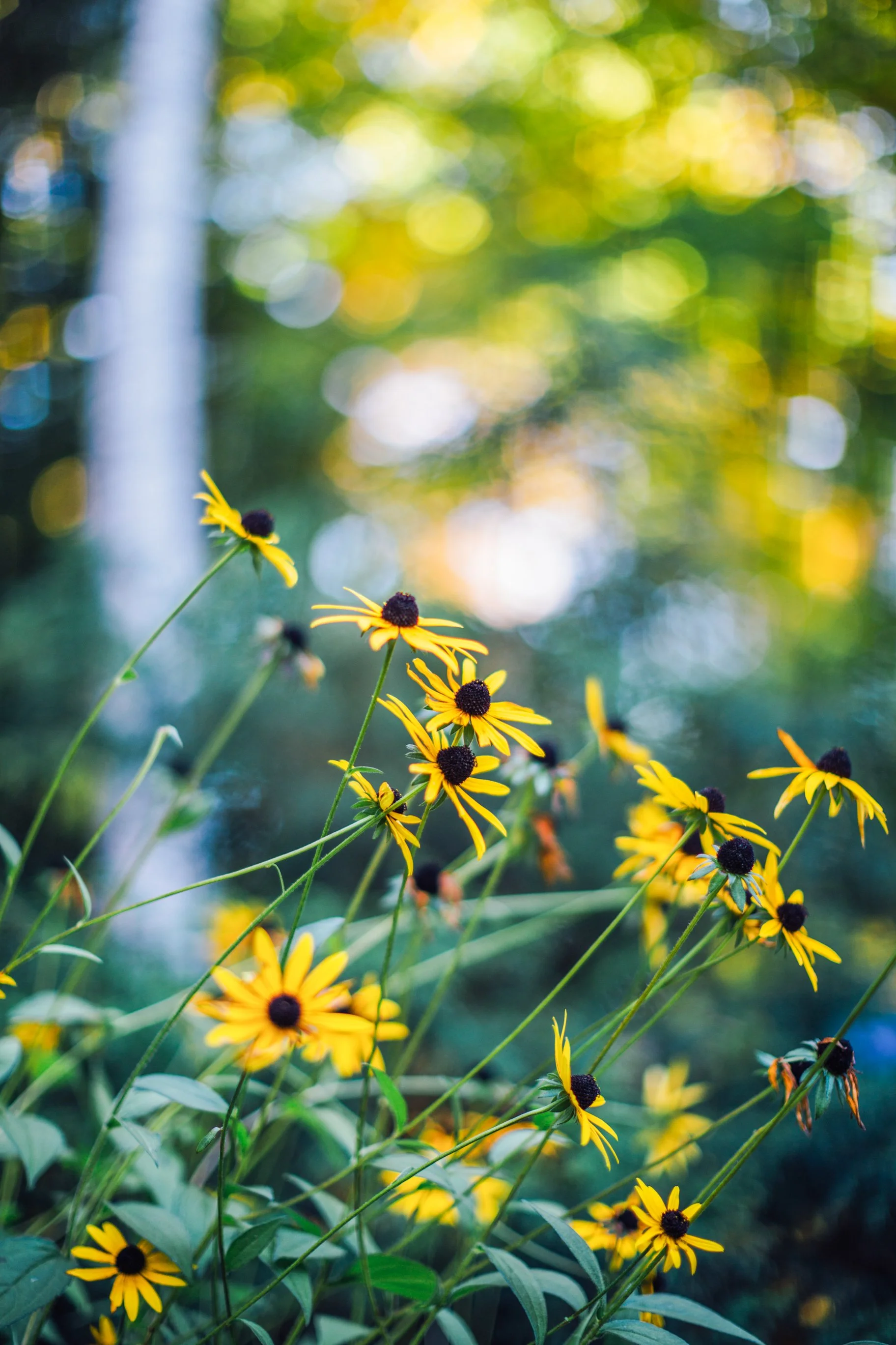 Katie Sprague Photography_Prints-9646.jpg