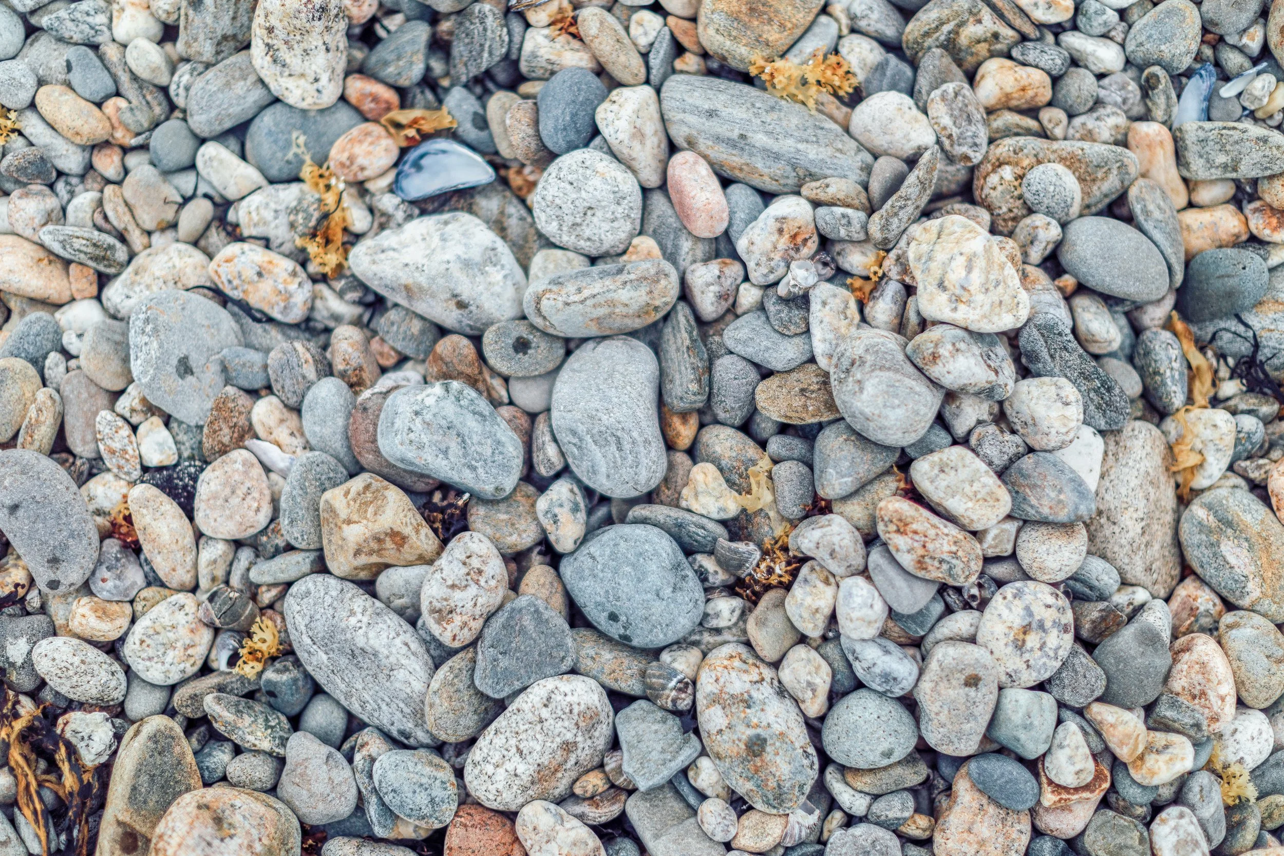 Katie Sprague Photography_Prints-4161.jpg