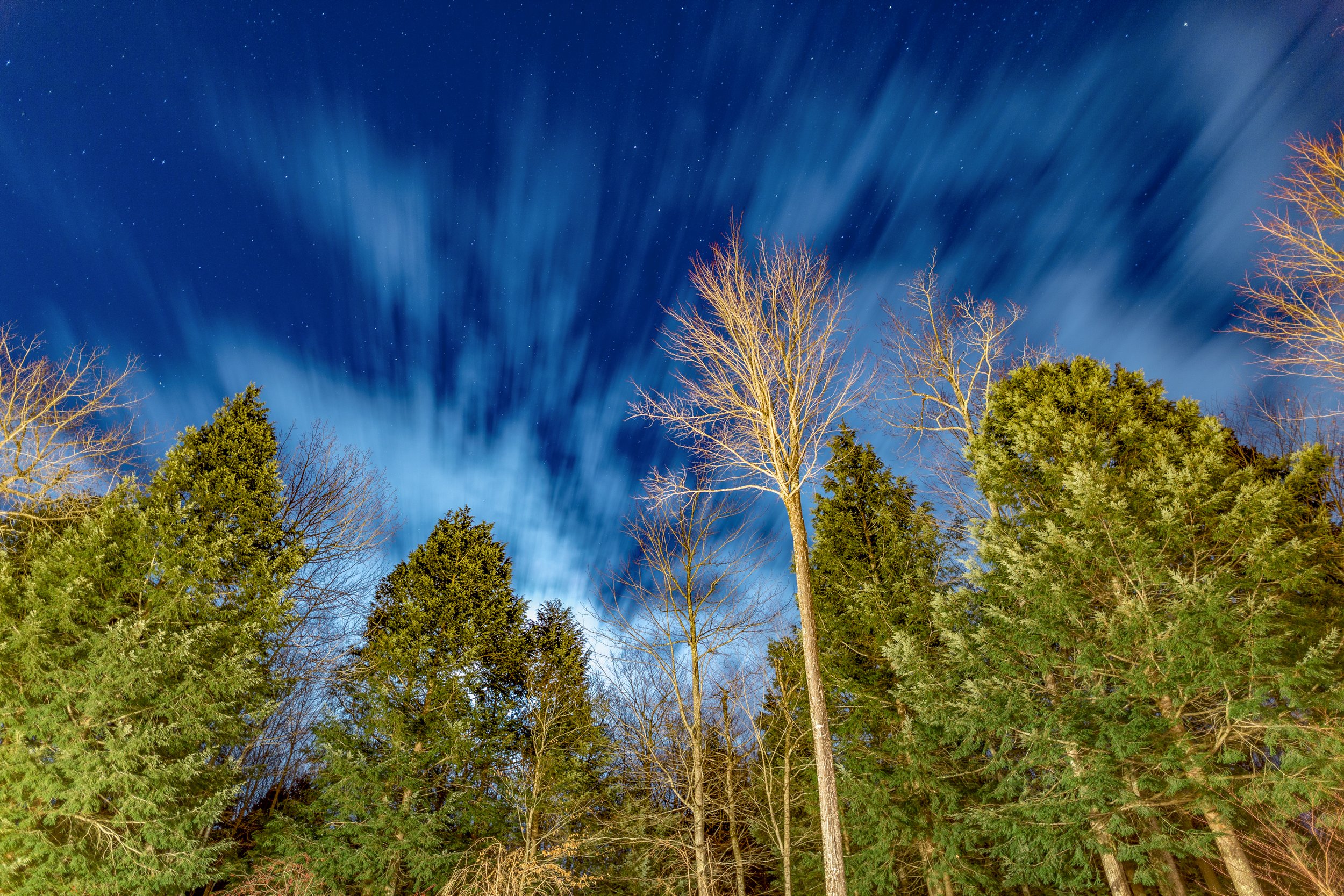 Katie Sprague Photography_Prints-0621.jpg