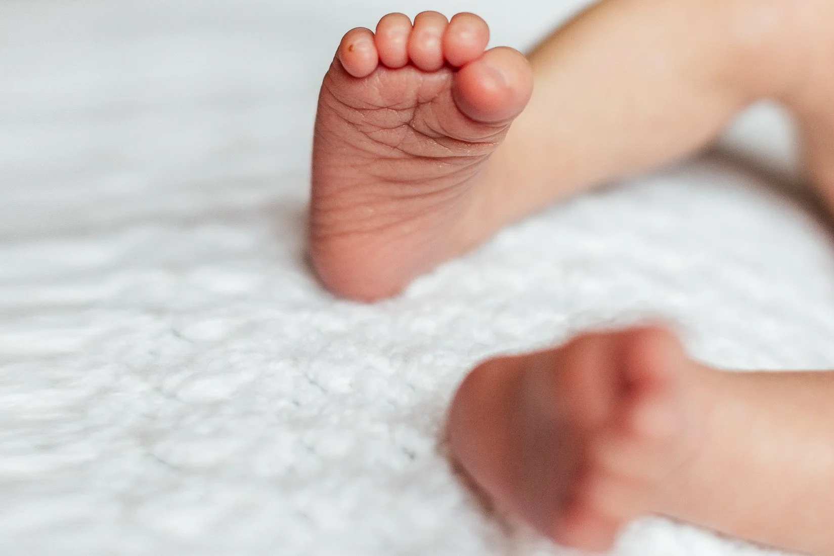 Family Photos_Katie Sprague Photography-9725.jpg