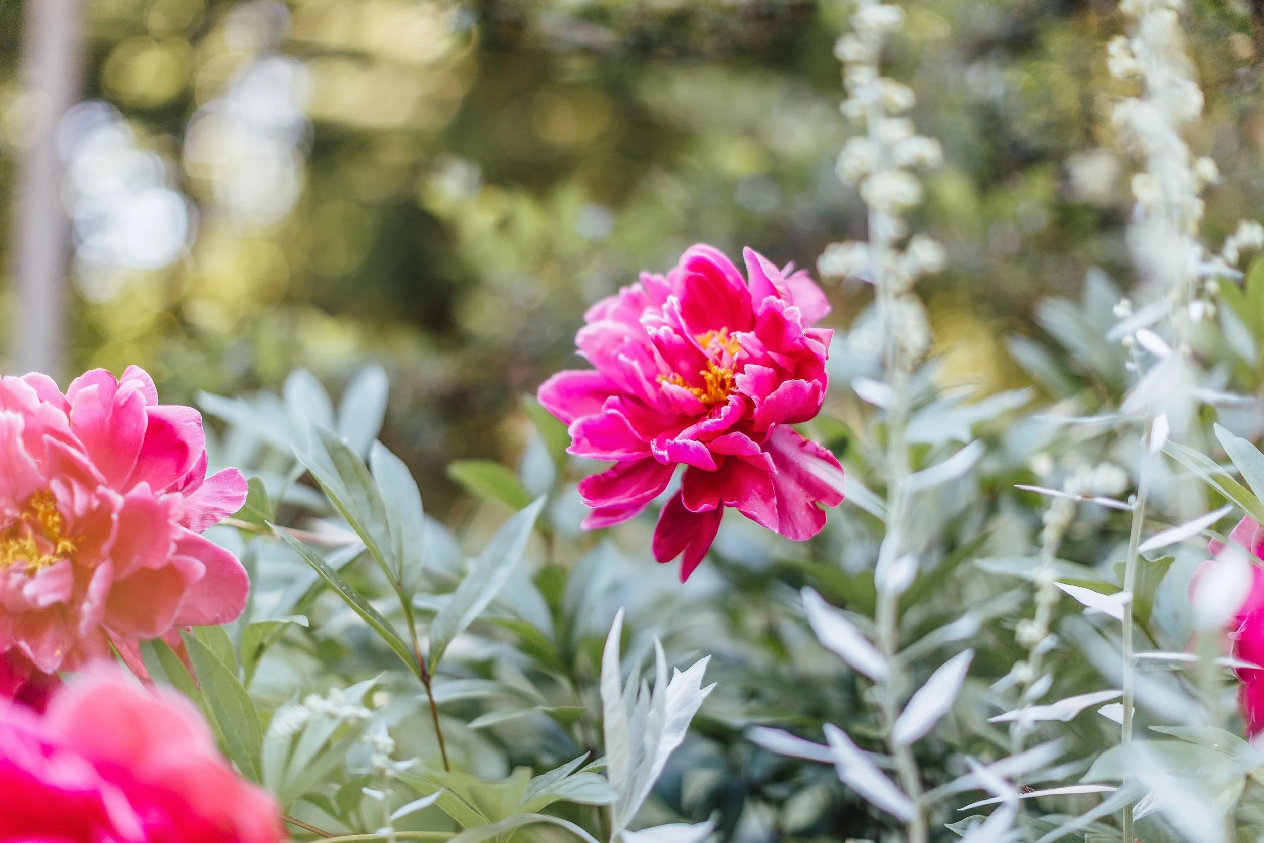 Katie Sprague Photography_Prints-9909.jpg