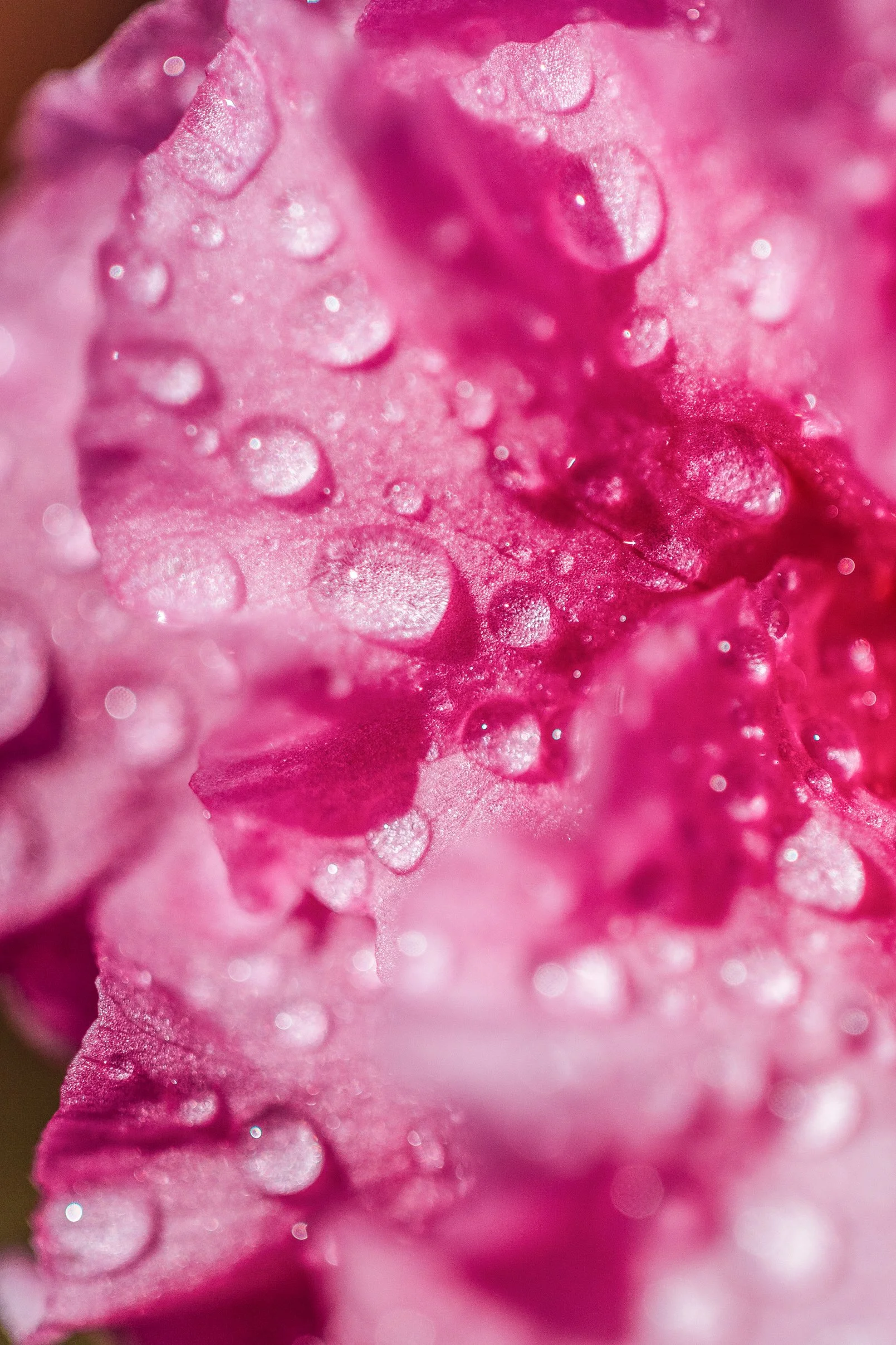 Katie Sprague Photography_Prints-095.jpg