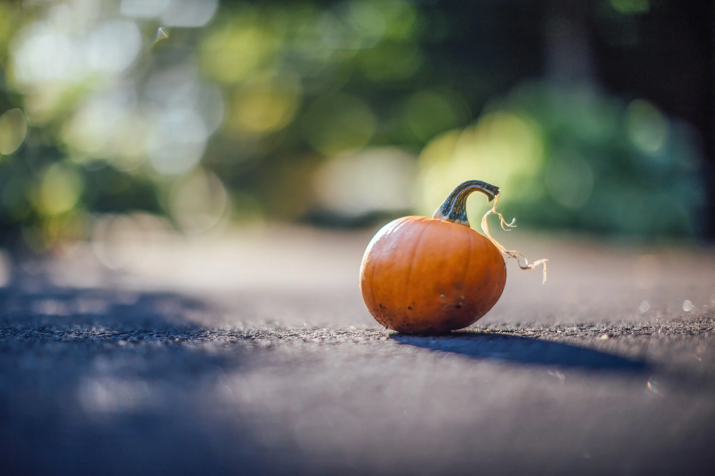 Katie Sprague Photography_Prints-9810.jpg