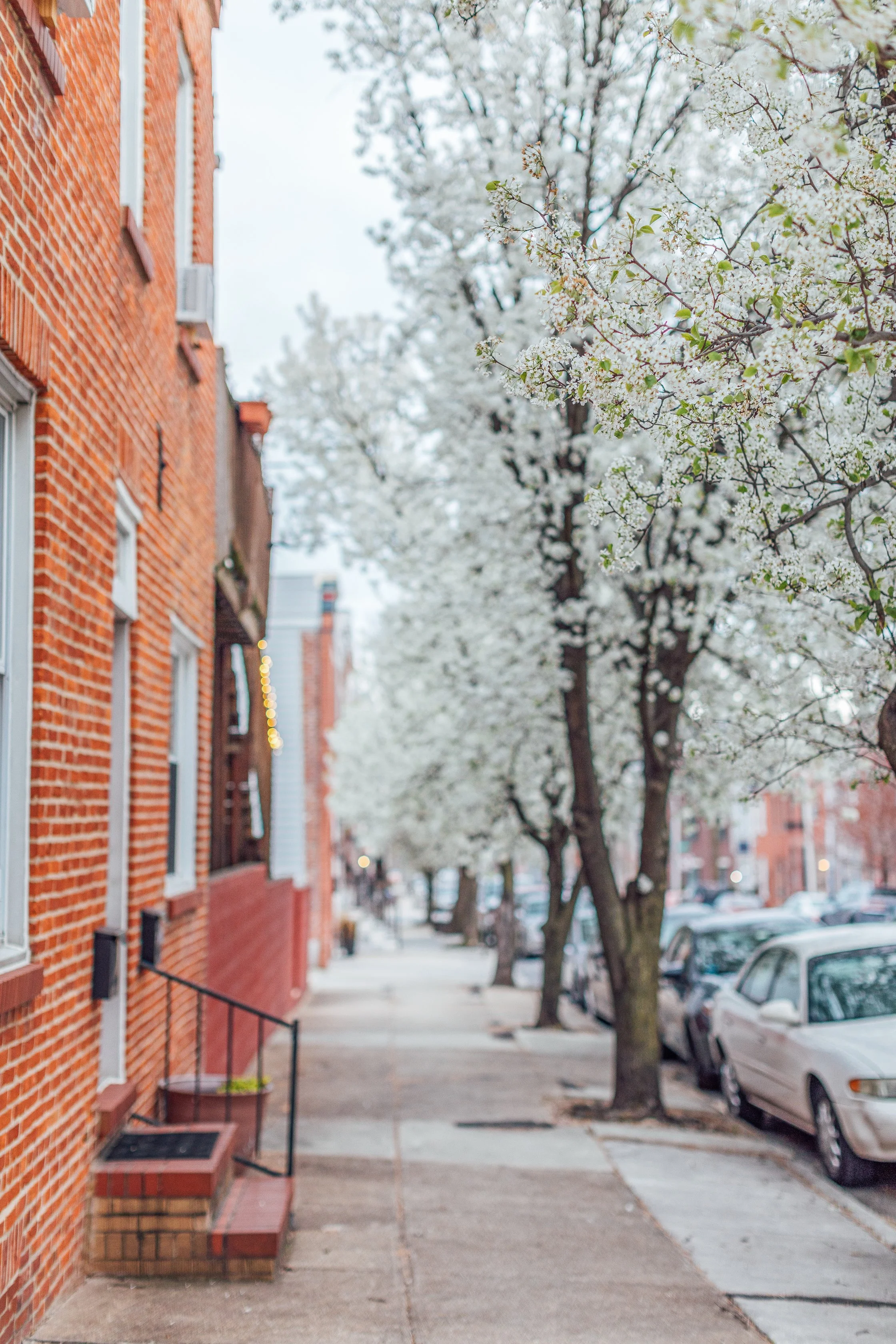 Katie Sprague Photography_Prints-7659.jpg