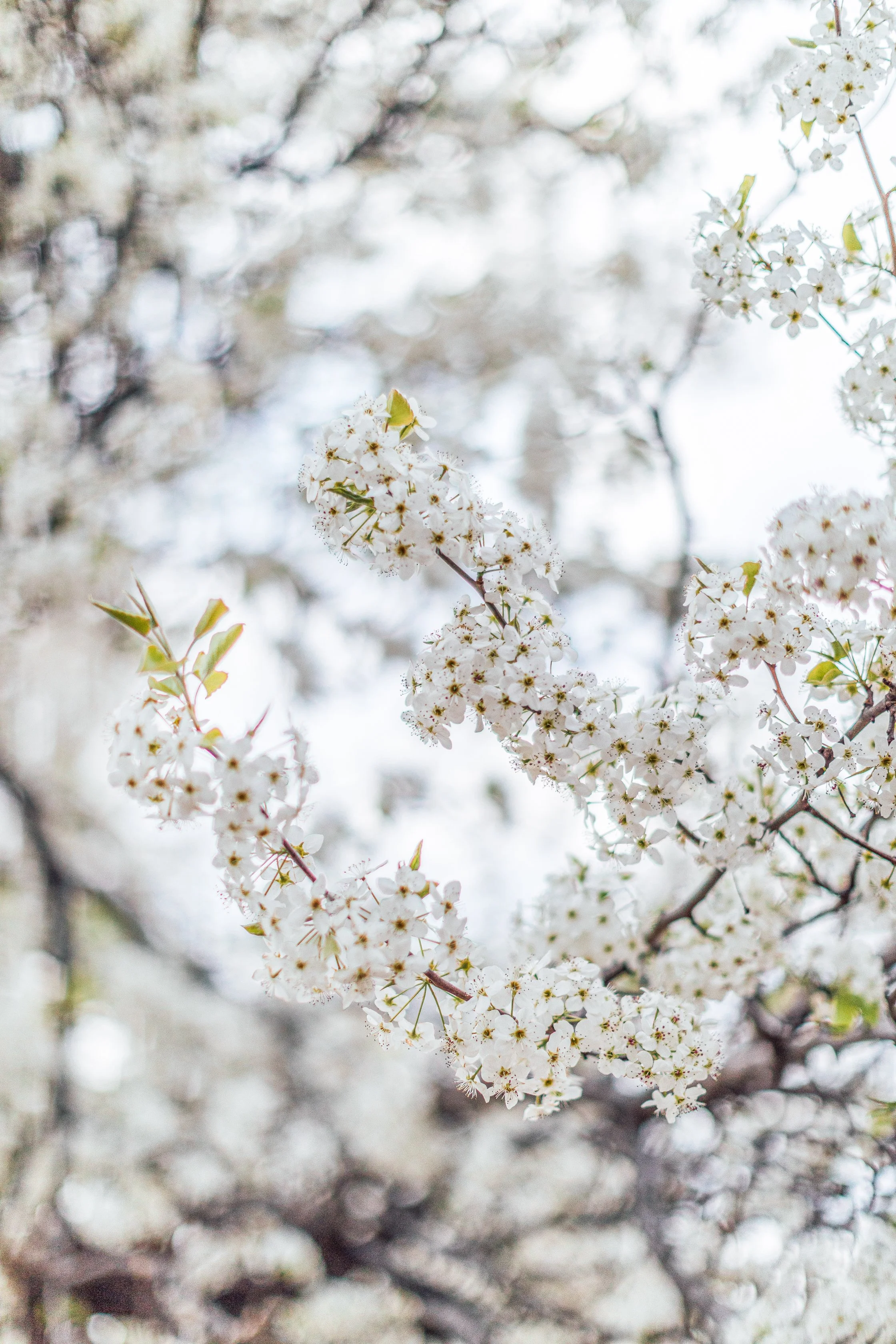 Katie Sprague Photography_Prints-7722.jpg