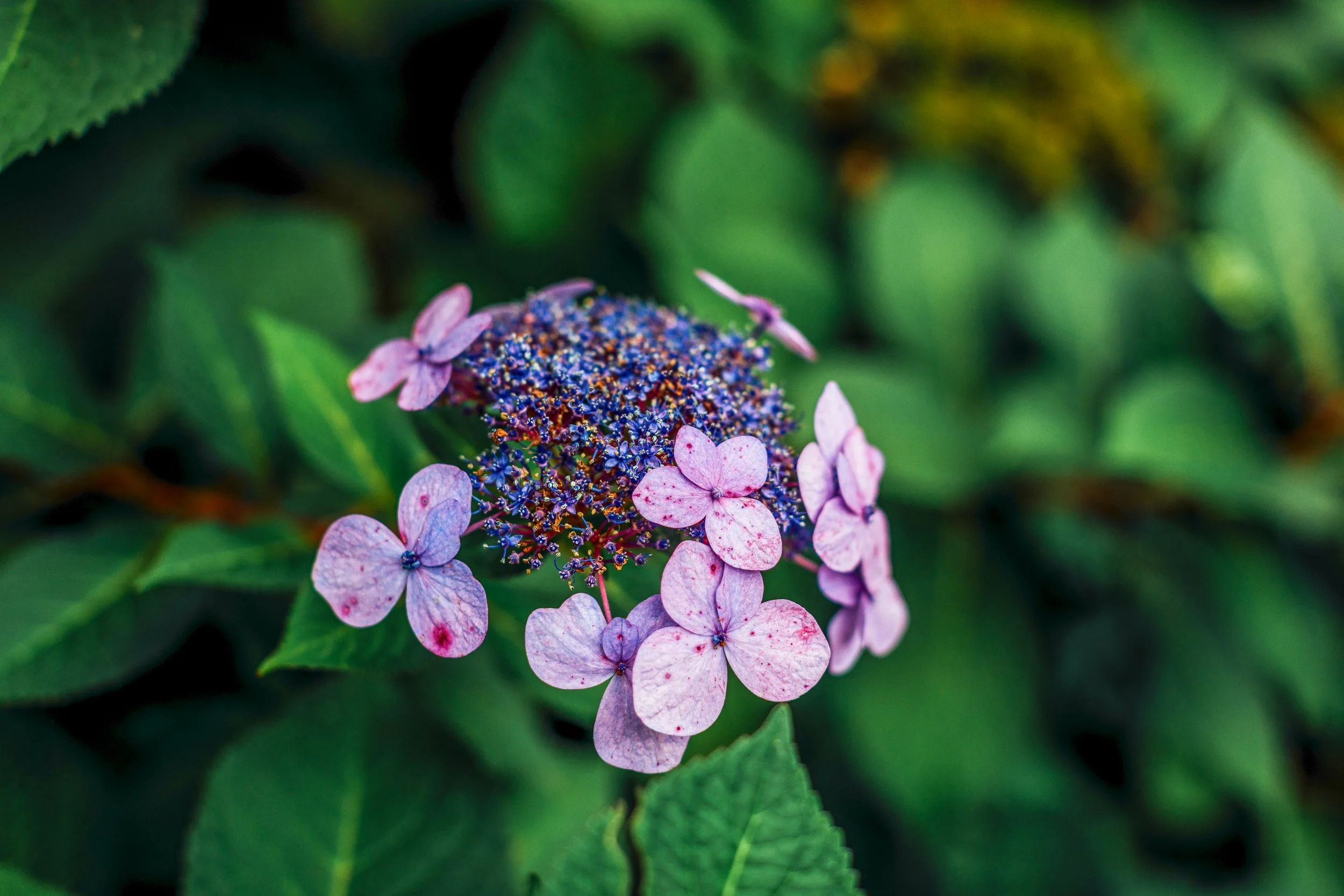 Katie Sprague Photography_Prints-159.jpg