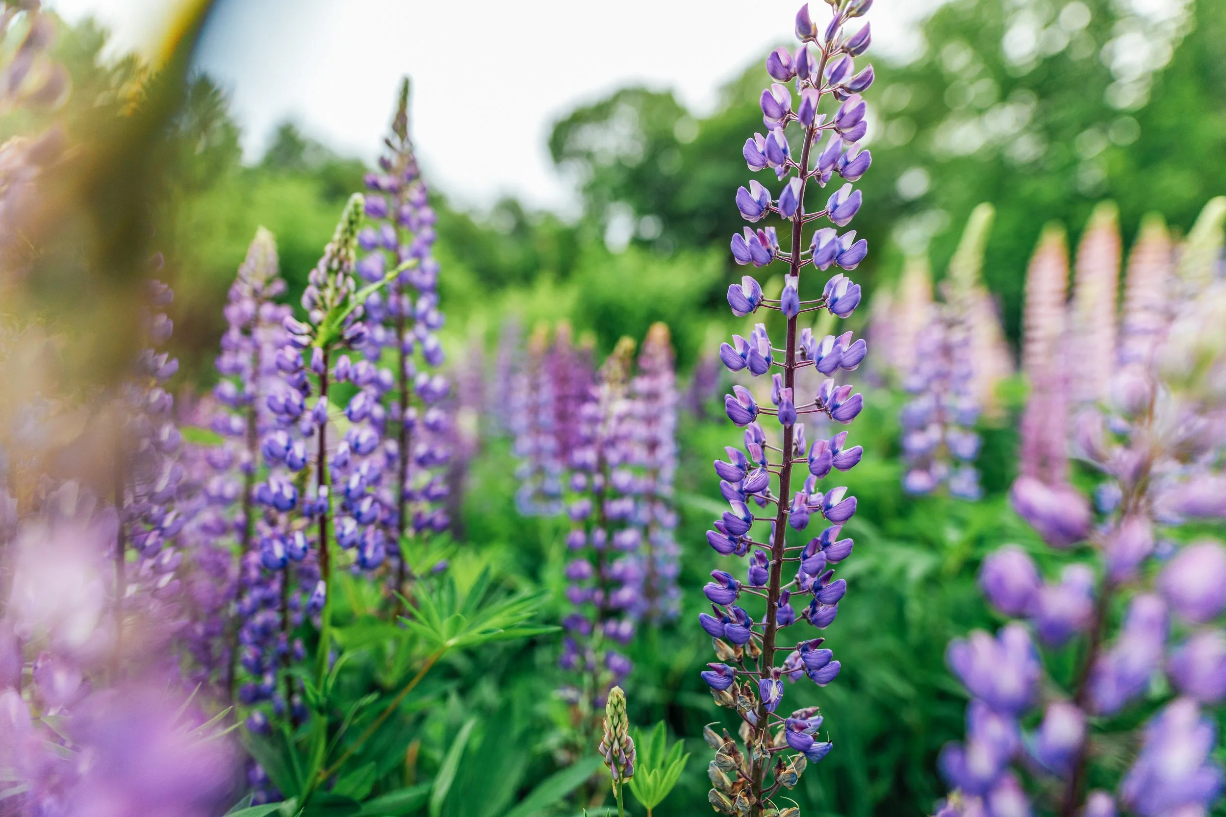 Katie Sprague Photography_Prints-4341.jpg