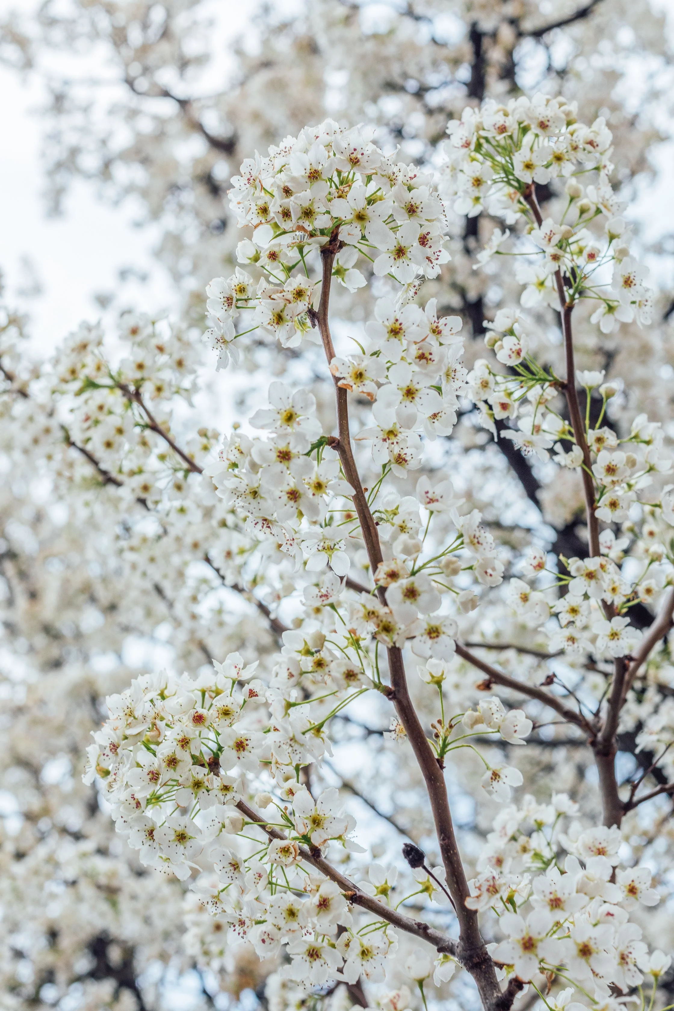 Katie Sprague Photography_Prints-7646.jpg