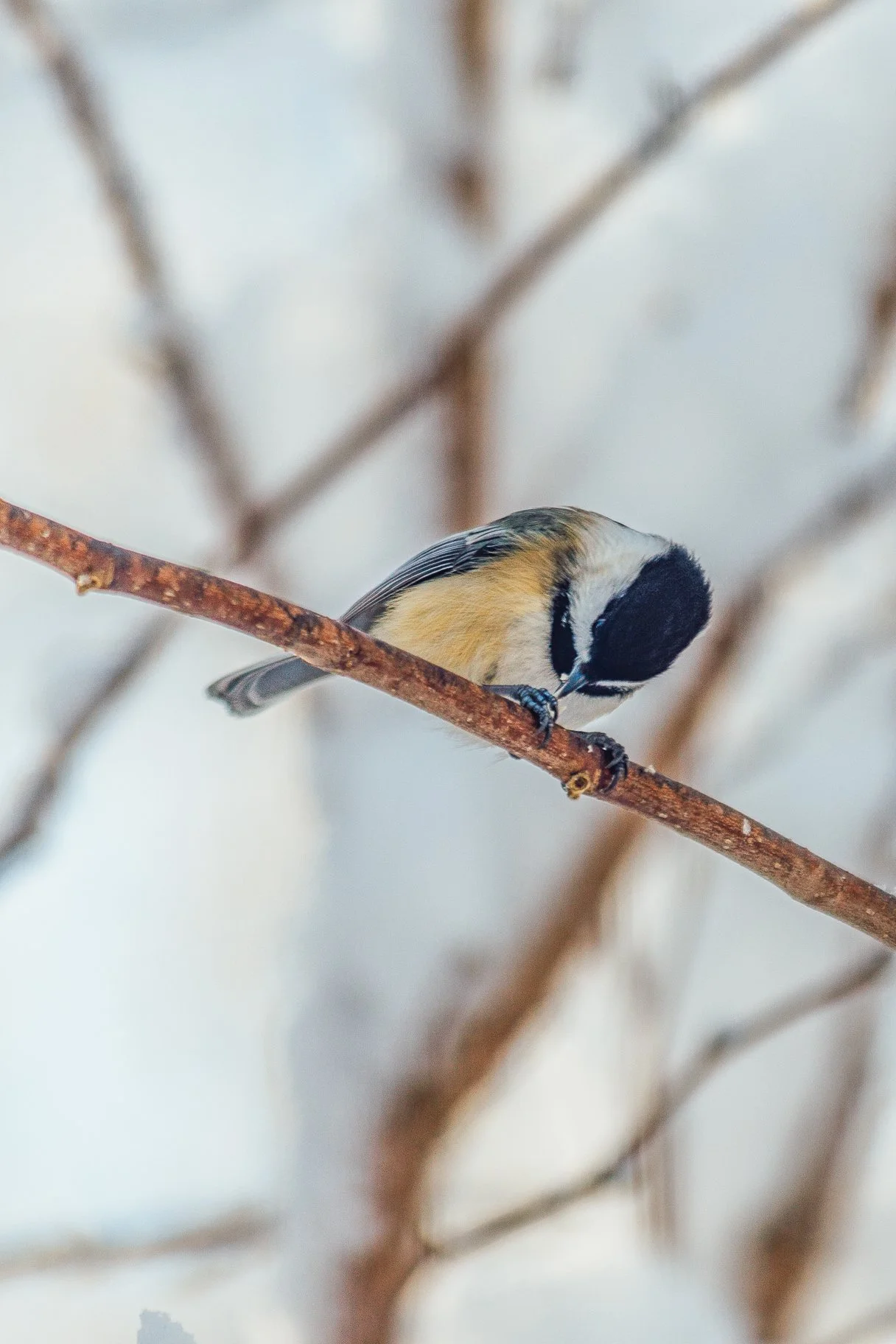 Katie Sprague Photography_Prints-1263.jpg