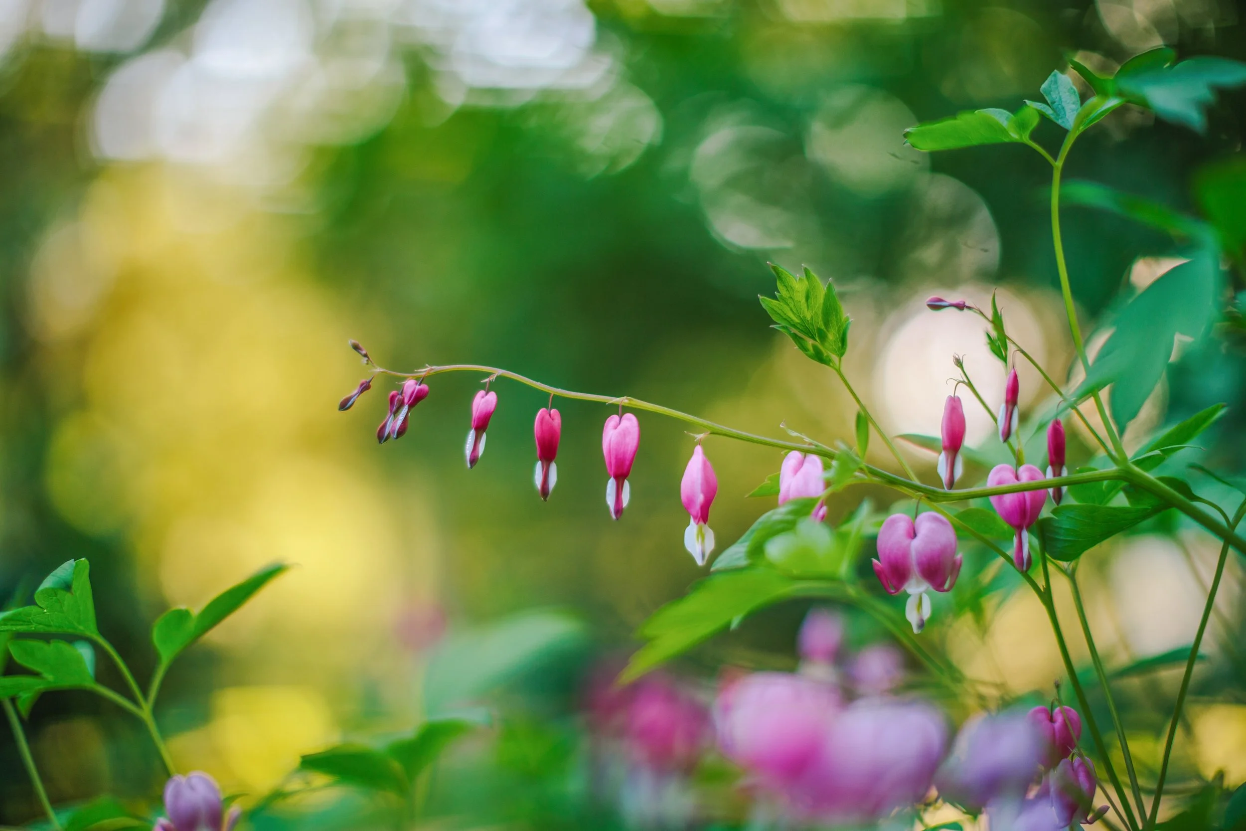 Katie Sprague Photography_Prints-4306.jpg