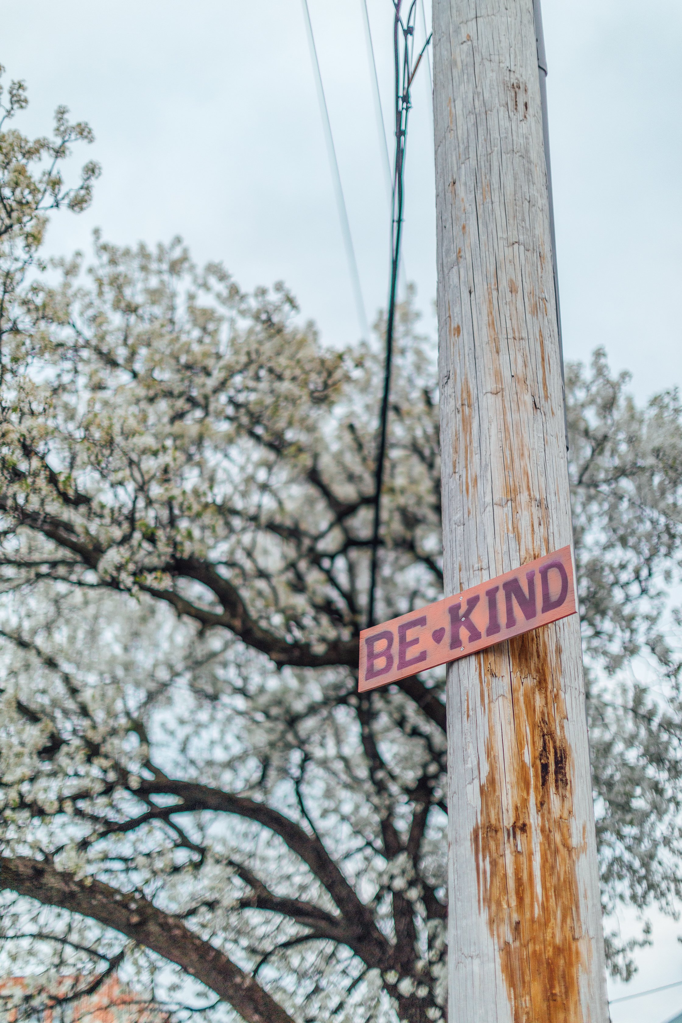 Katie Sprague Photography_Prints-7676.jpg