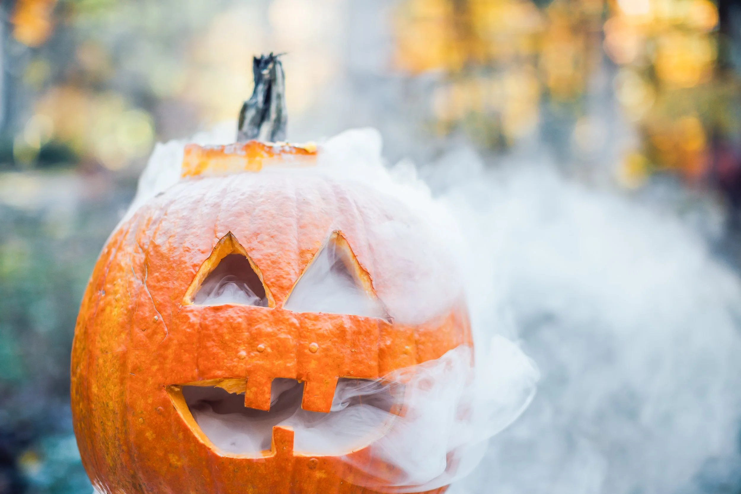 Katie Sprague Photography_Prints-9789.jpg