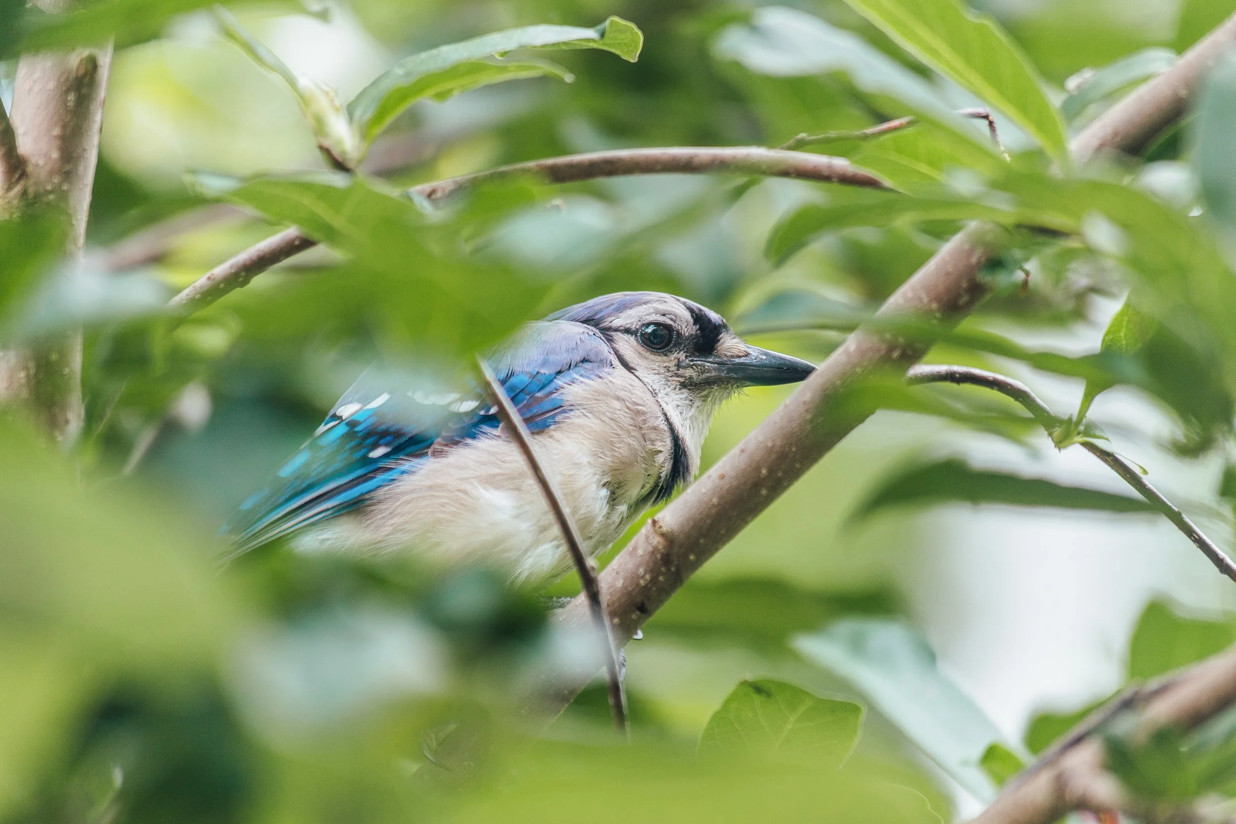 Katie Sprague Photography_Prints-1379.jpg