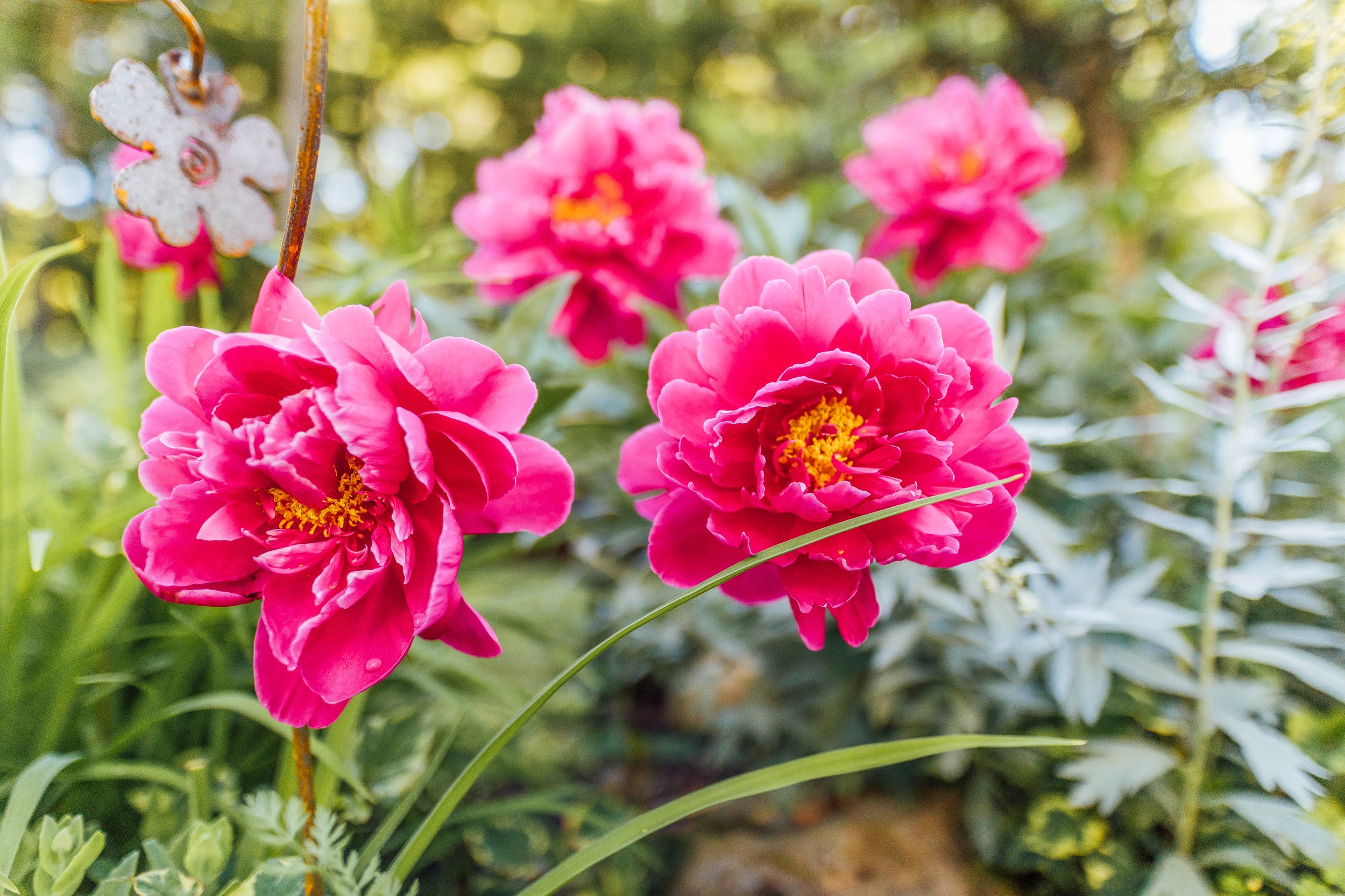 Katie Sprague Photography_Prints-9927.jpg