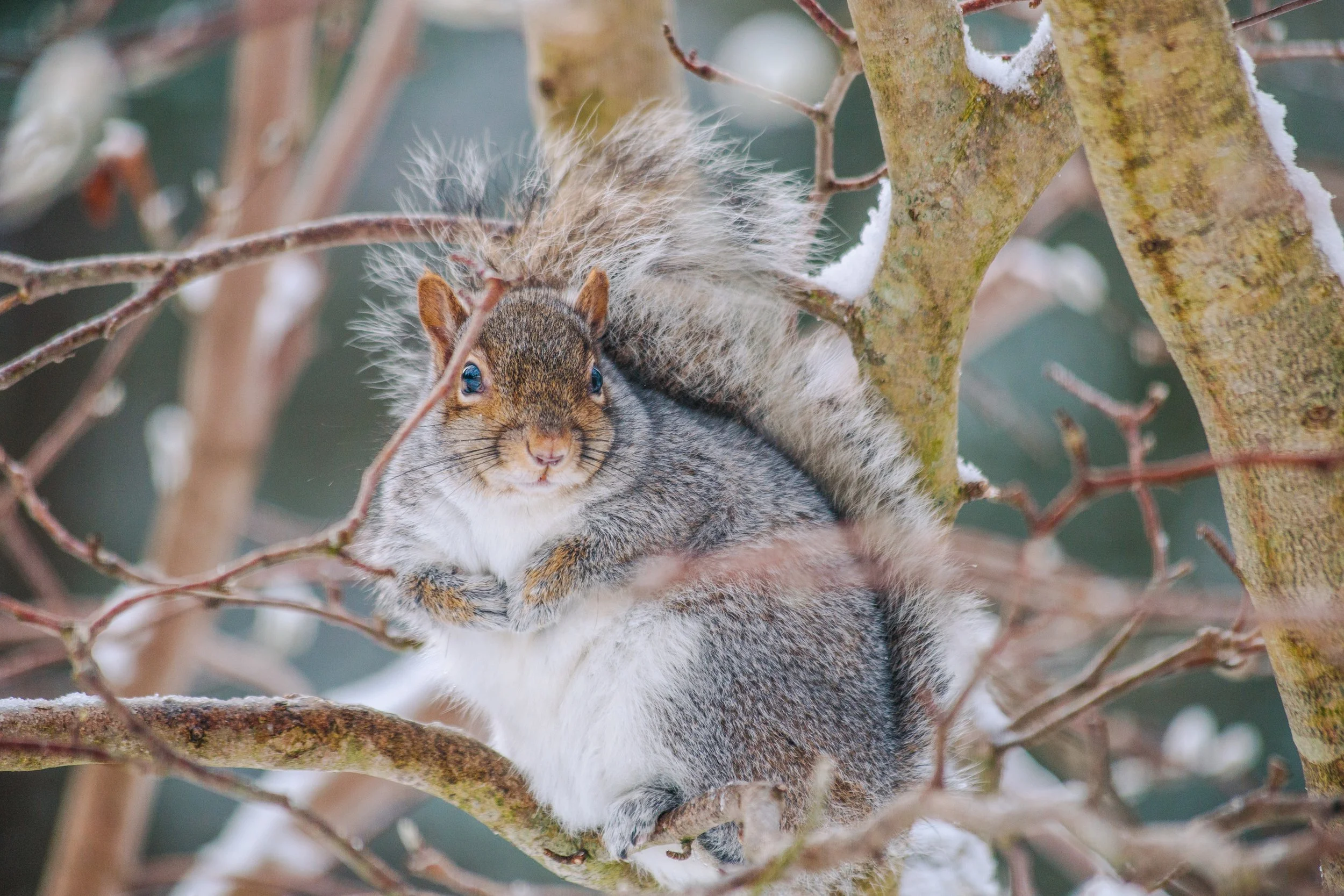 Katie Sprague Photography_Prints--4.jpg