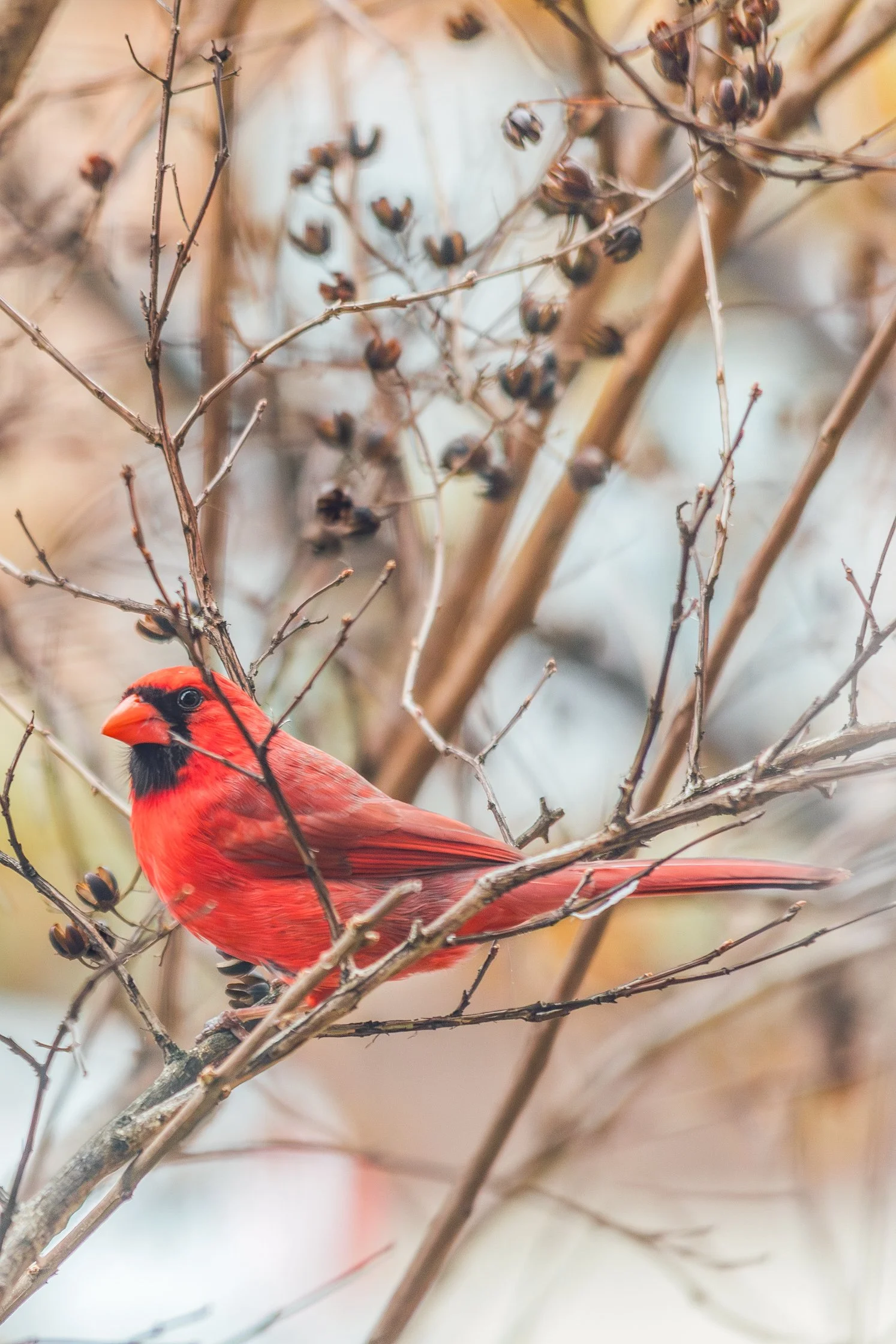 Katie Sprague Photography_Prints-3-3.jpg