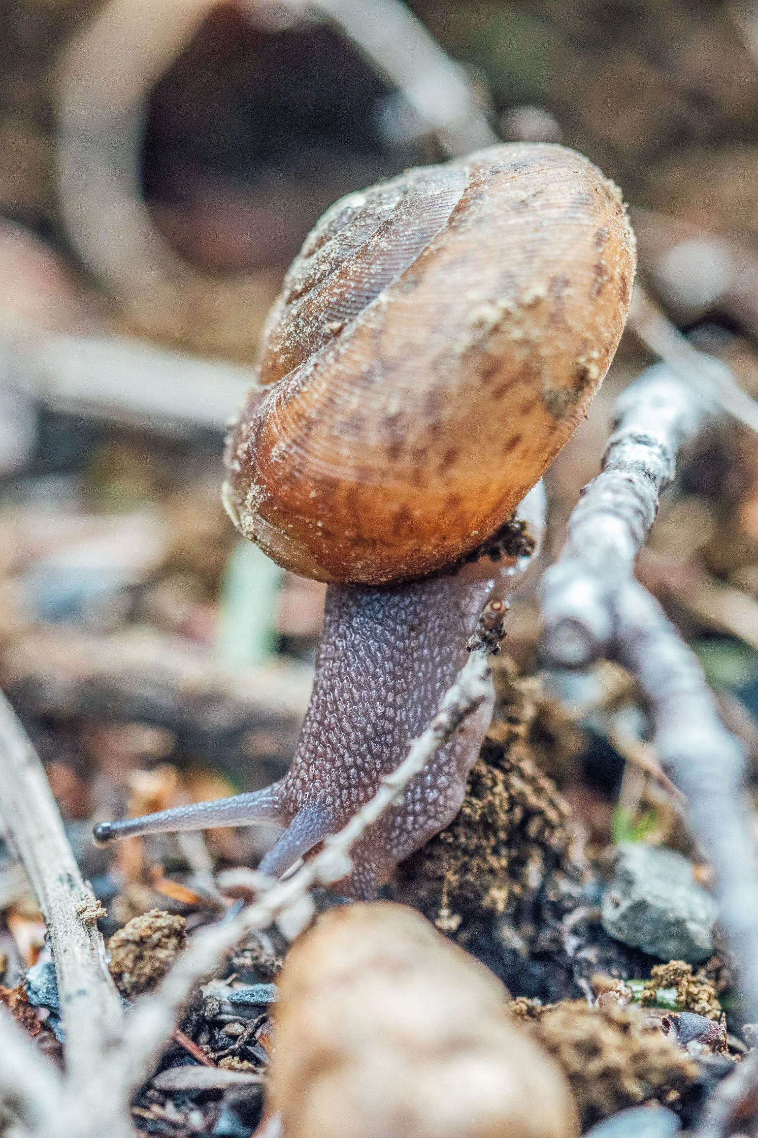 Katie Sprague Photography_Prints-083.jpg