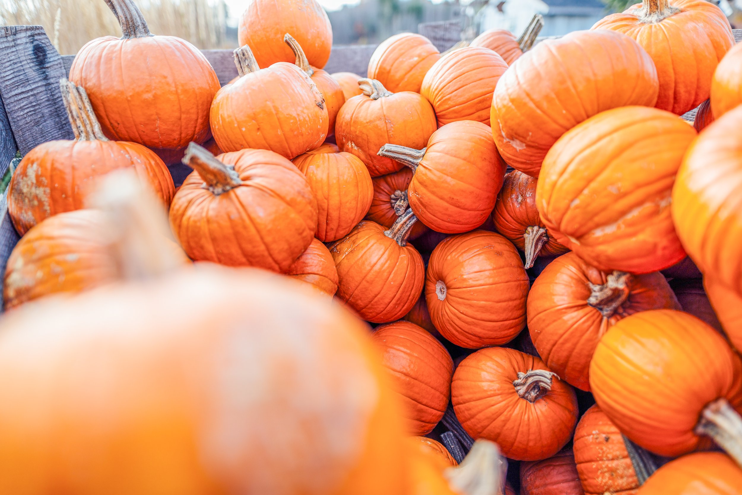 Katie Sprague Photography_Prints-8768.jpg