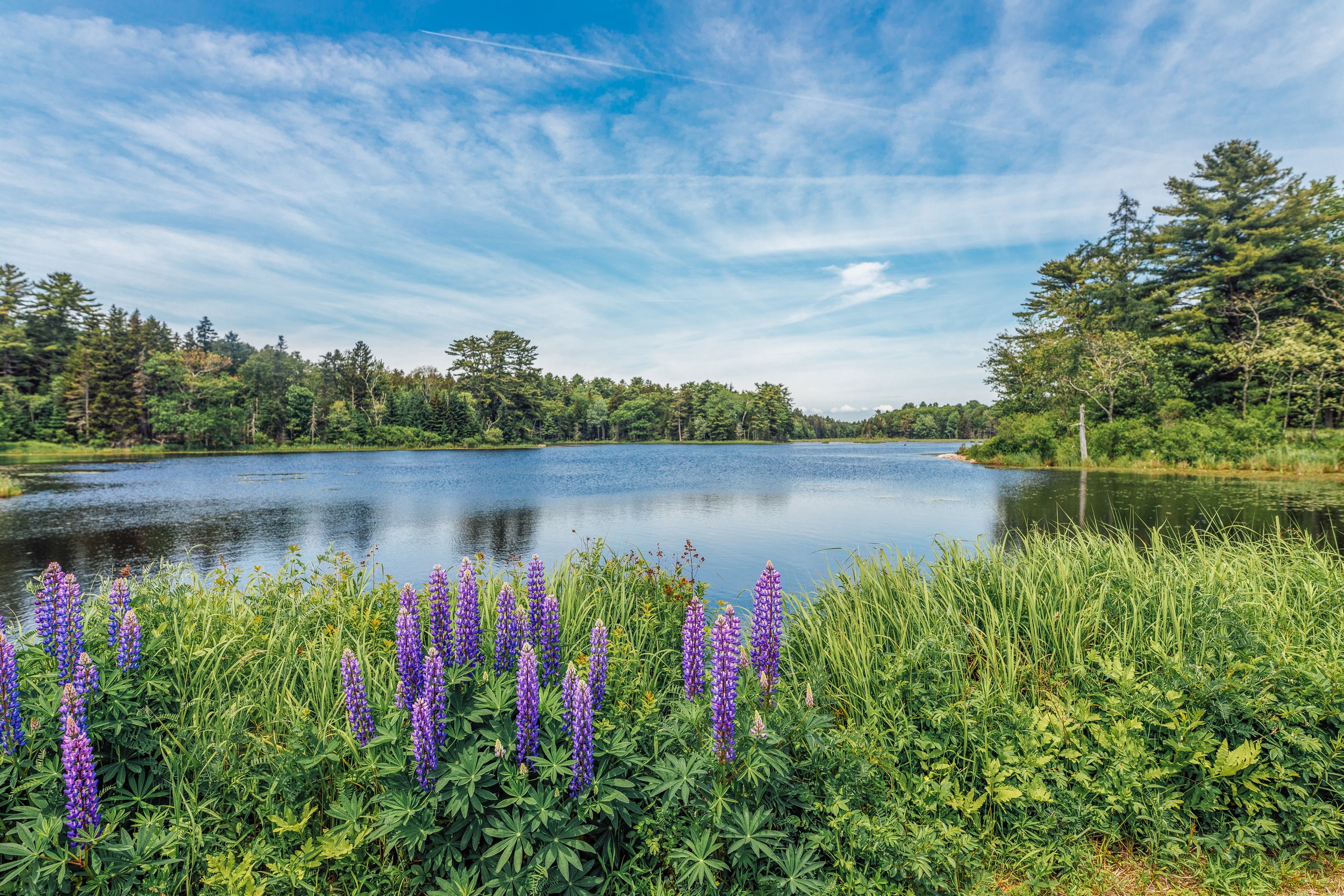 Katie Sprague Photography_Prints-061.jpg