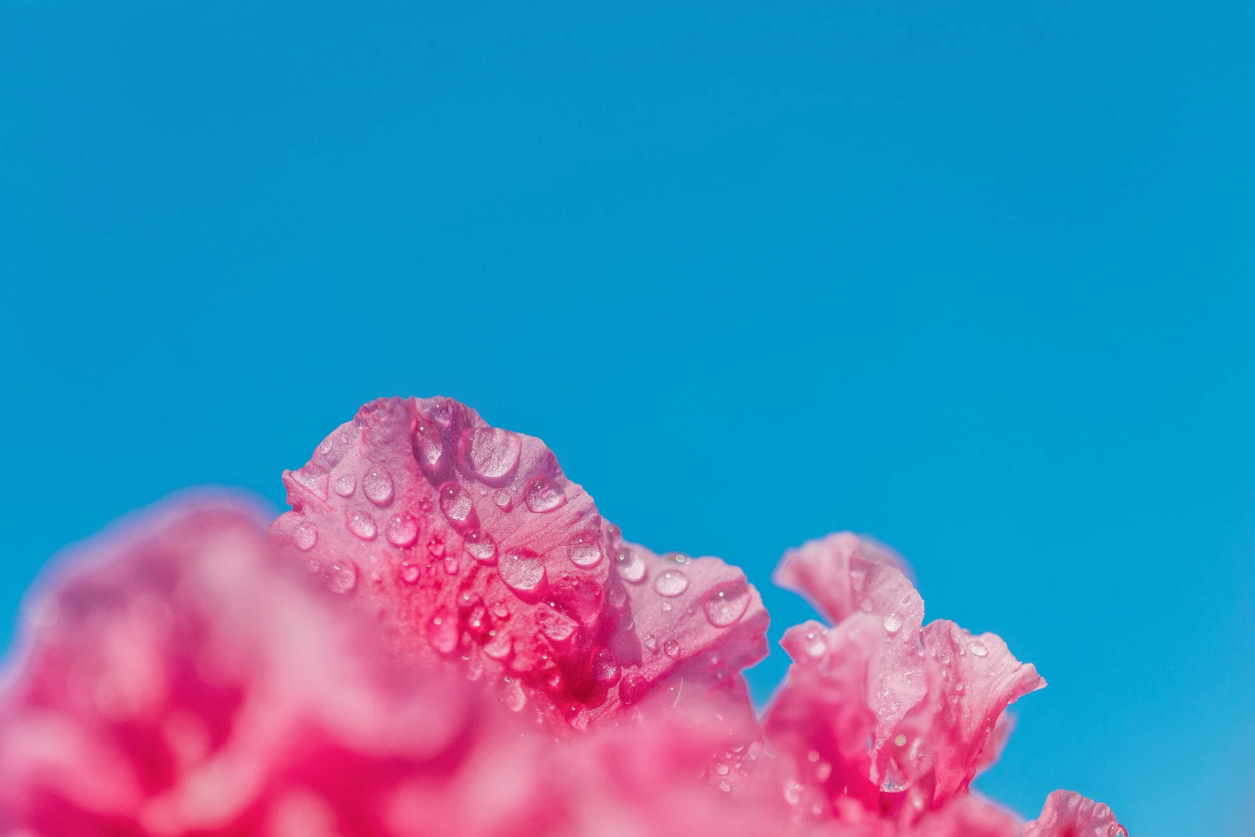 Katie Sprague Photography_Prints-125.jpg