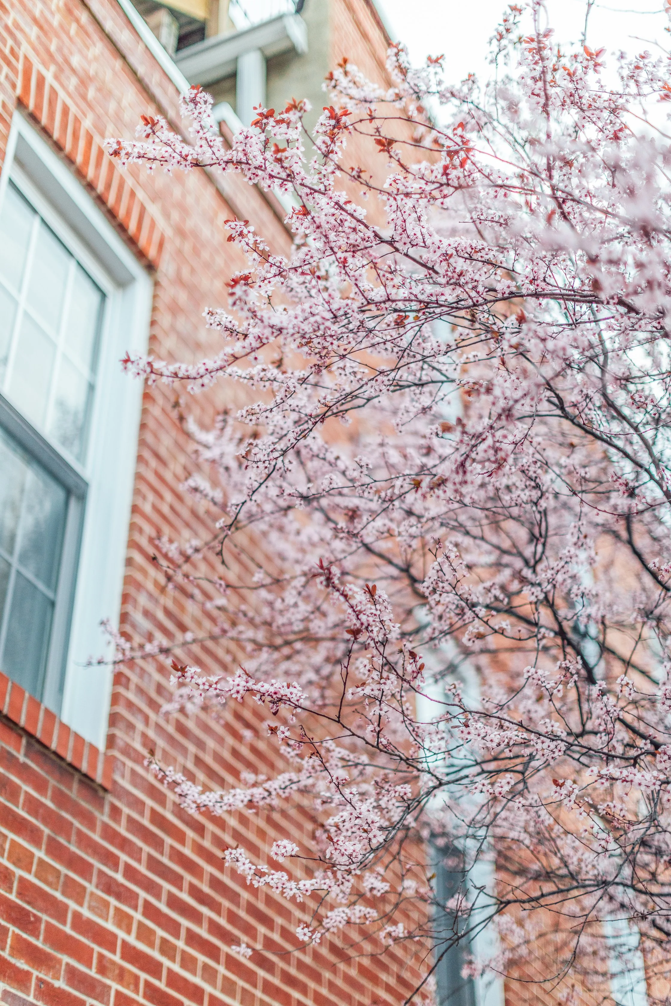 Katie Sprague Photography_Prints-7682.jpg