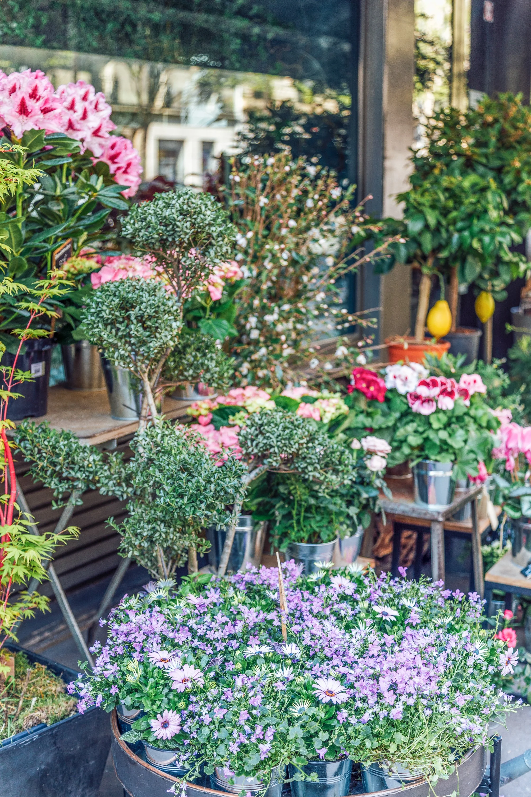 Katie Sprague Photography_Prints-252.jpg