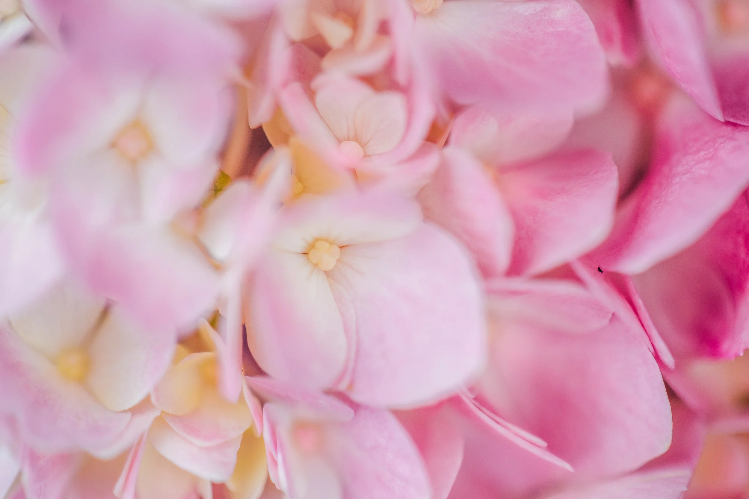 Katie Sprague Photography_Prints-2927.jpg