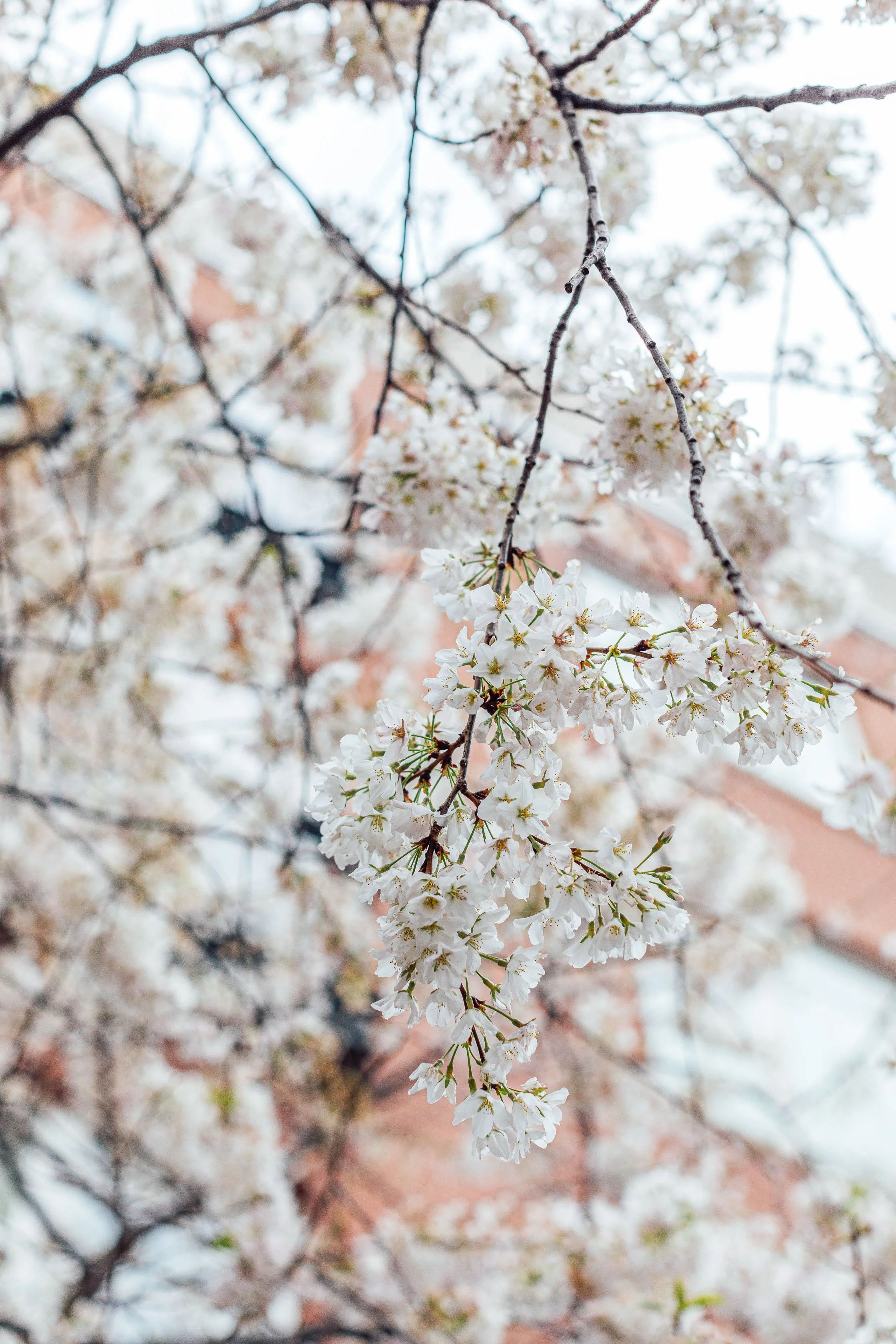 Katie Sprague Photography_Prints-7595.jpg