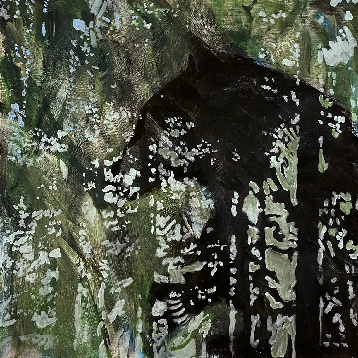 bear in the woods-web.jpg