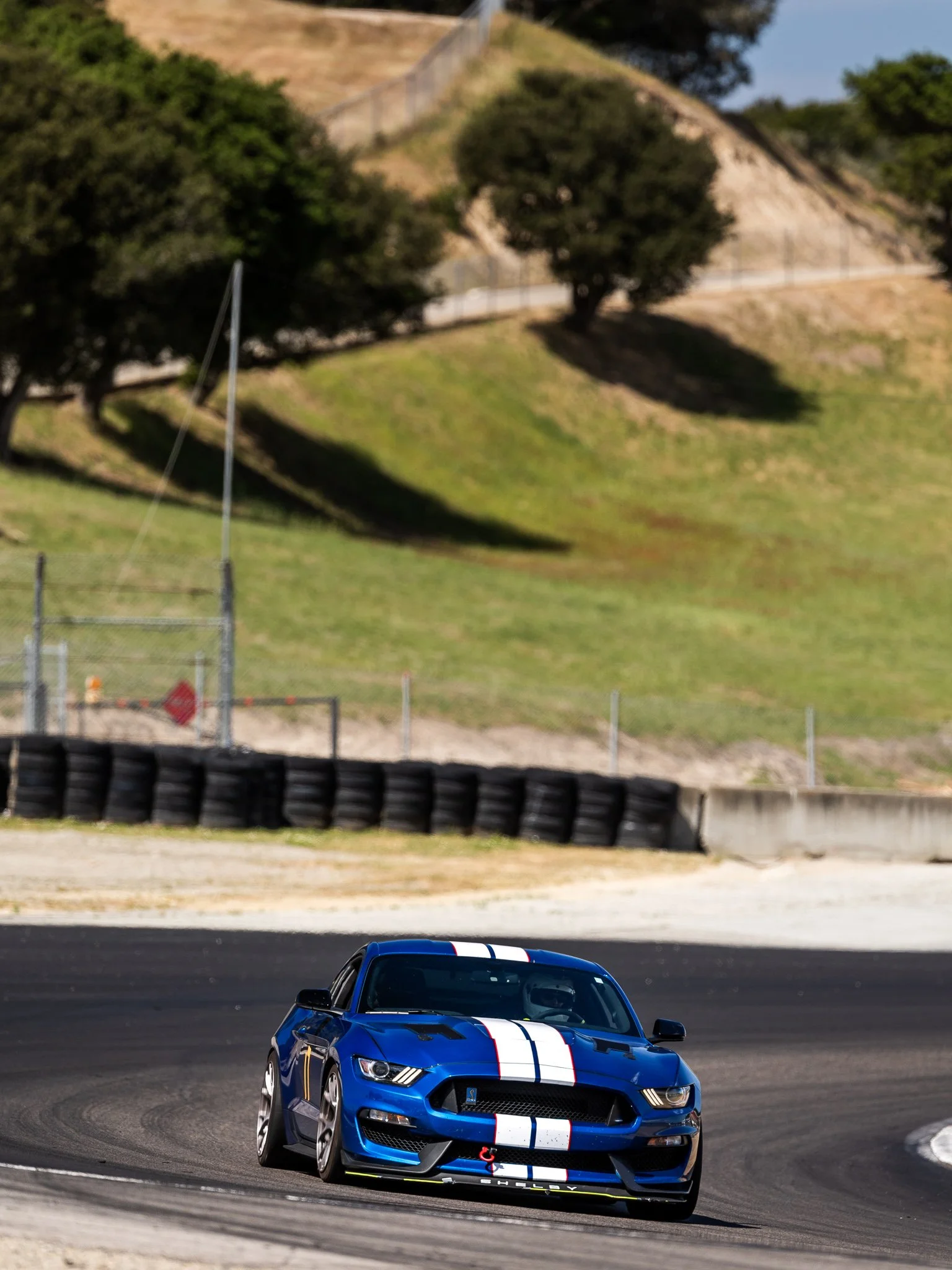 PBM-SSF-2916.jpg