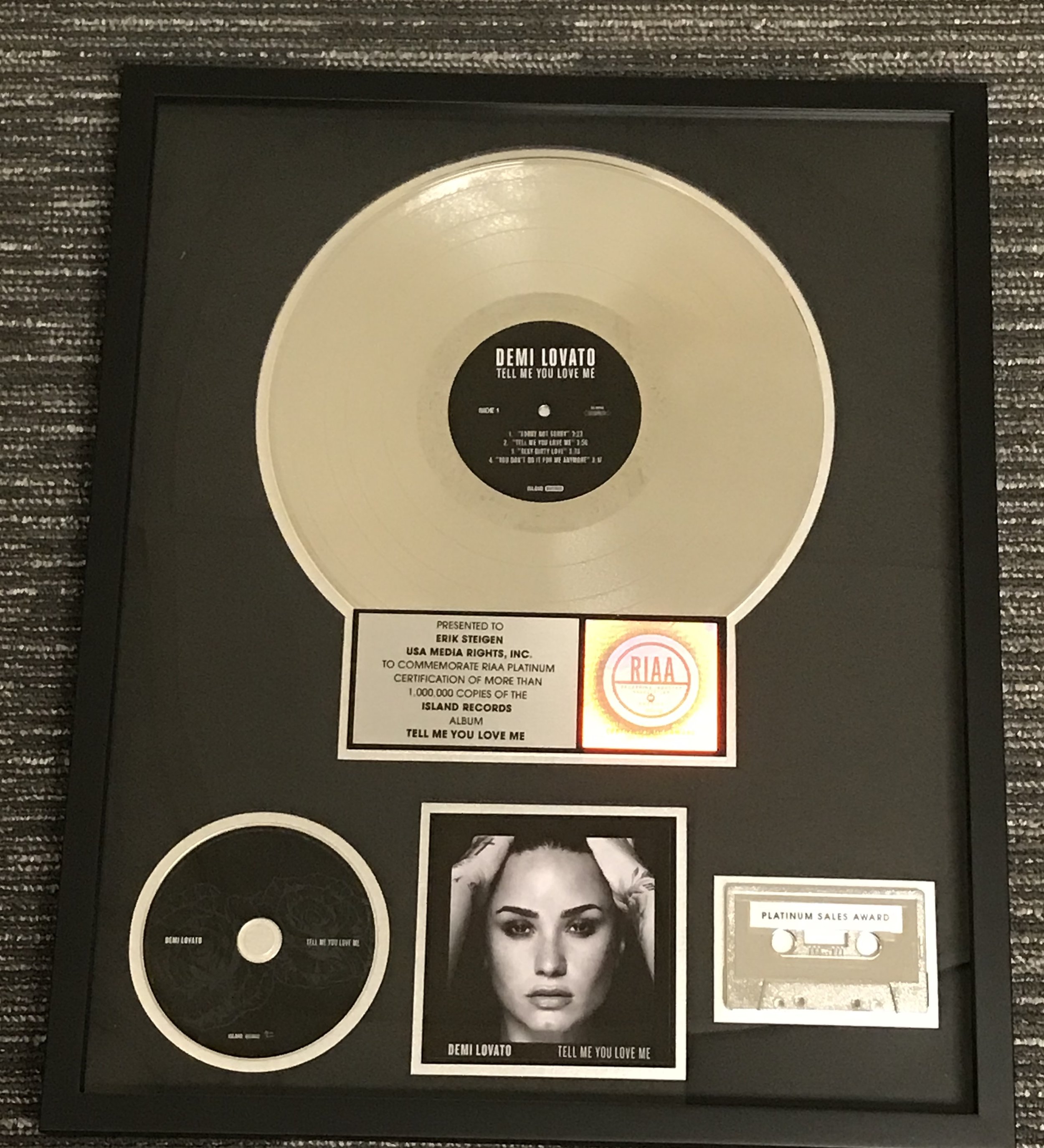 Demi Lovato plaque.jpg