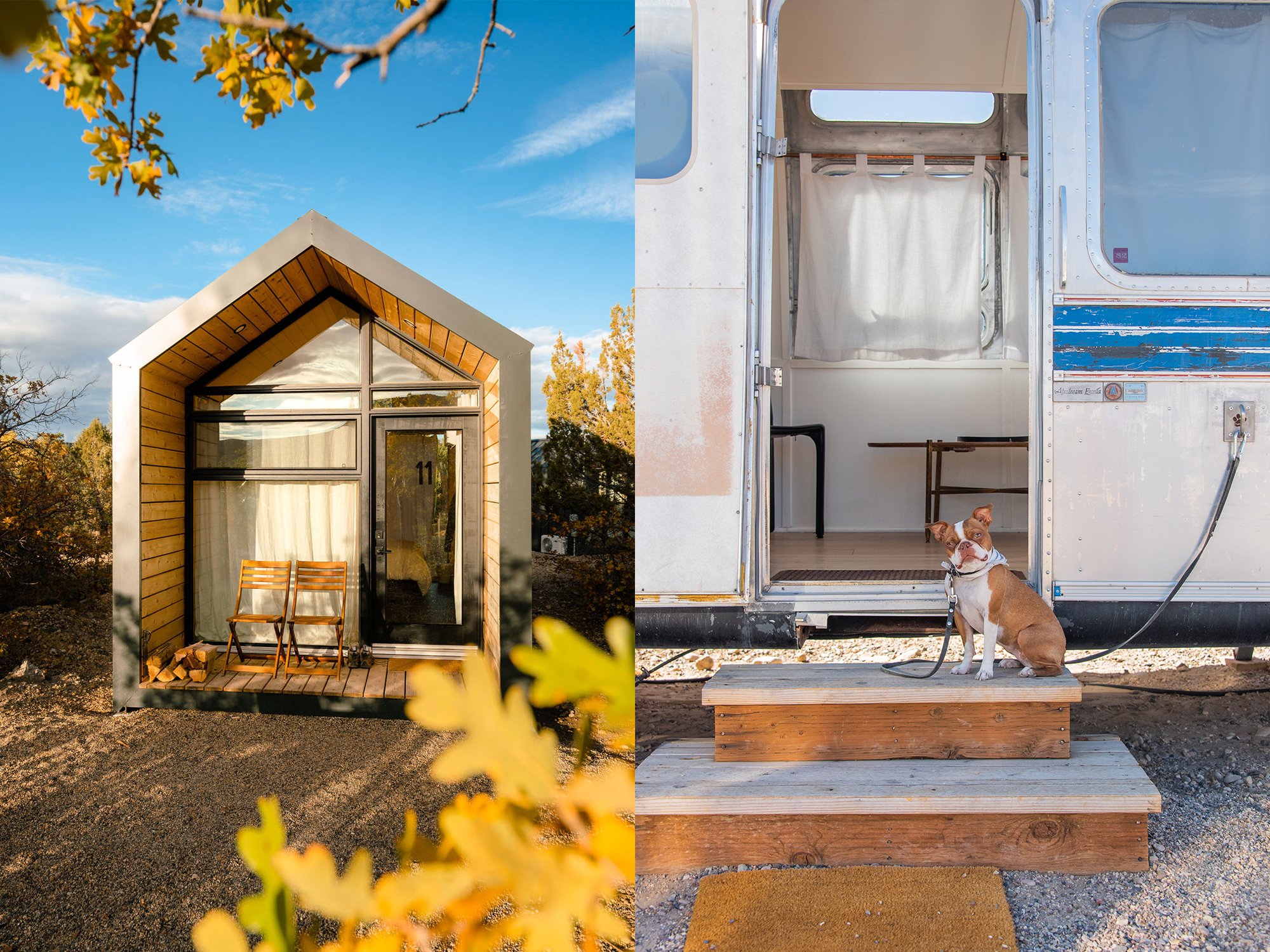 Tiny cabin on left and leashed dog on steps of airstream on right
