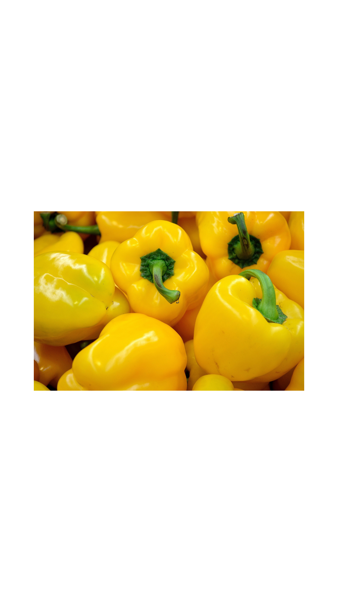 Sunbright Bell Pepper Plant (Sweet)
