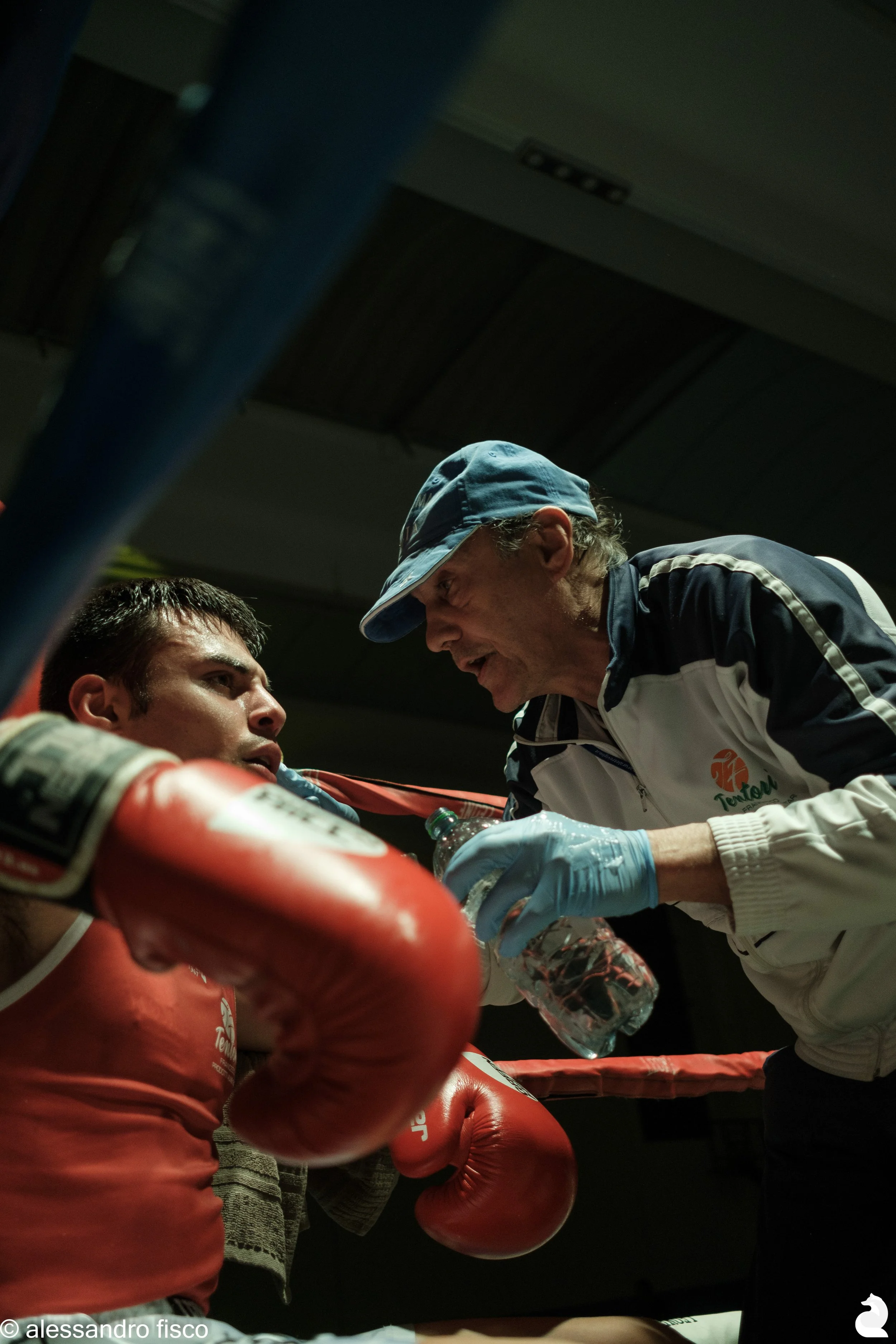 filigrana boxe-38.jpg